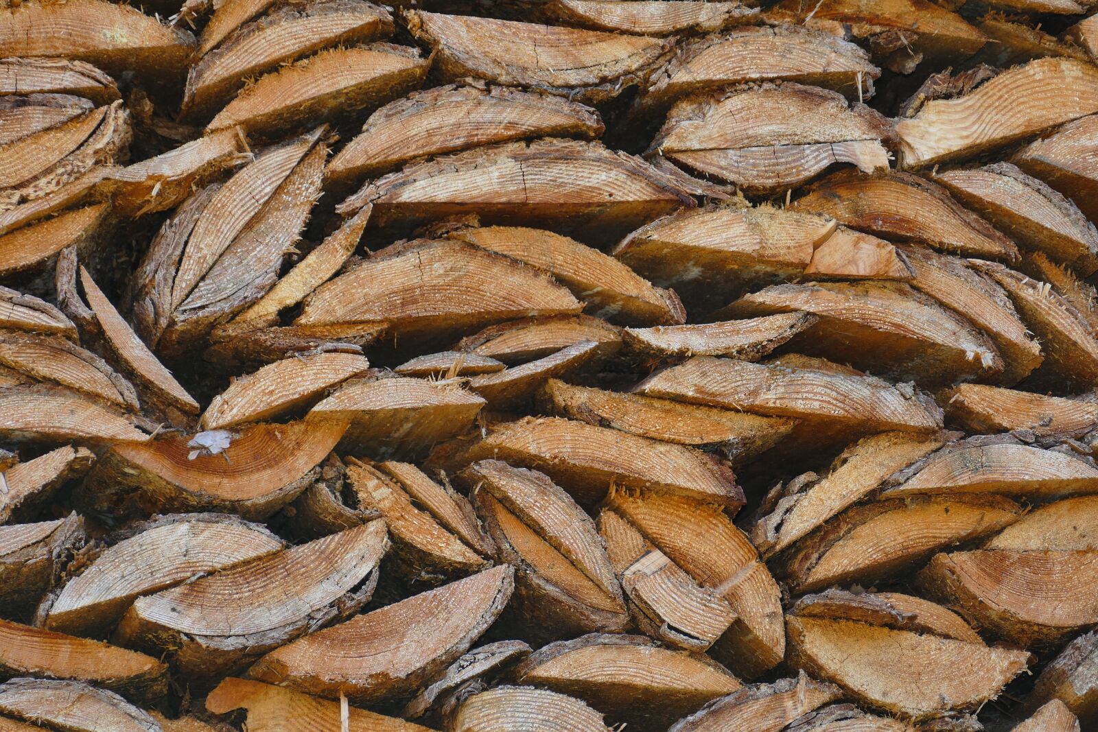 Panasonic Lumix DMC-FZ1000 sample photo. Wood, holzstapel, firewood photography