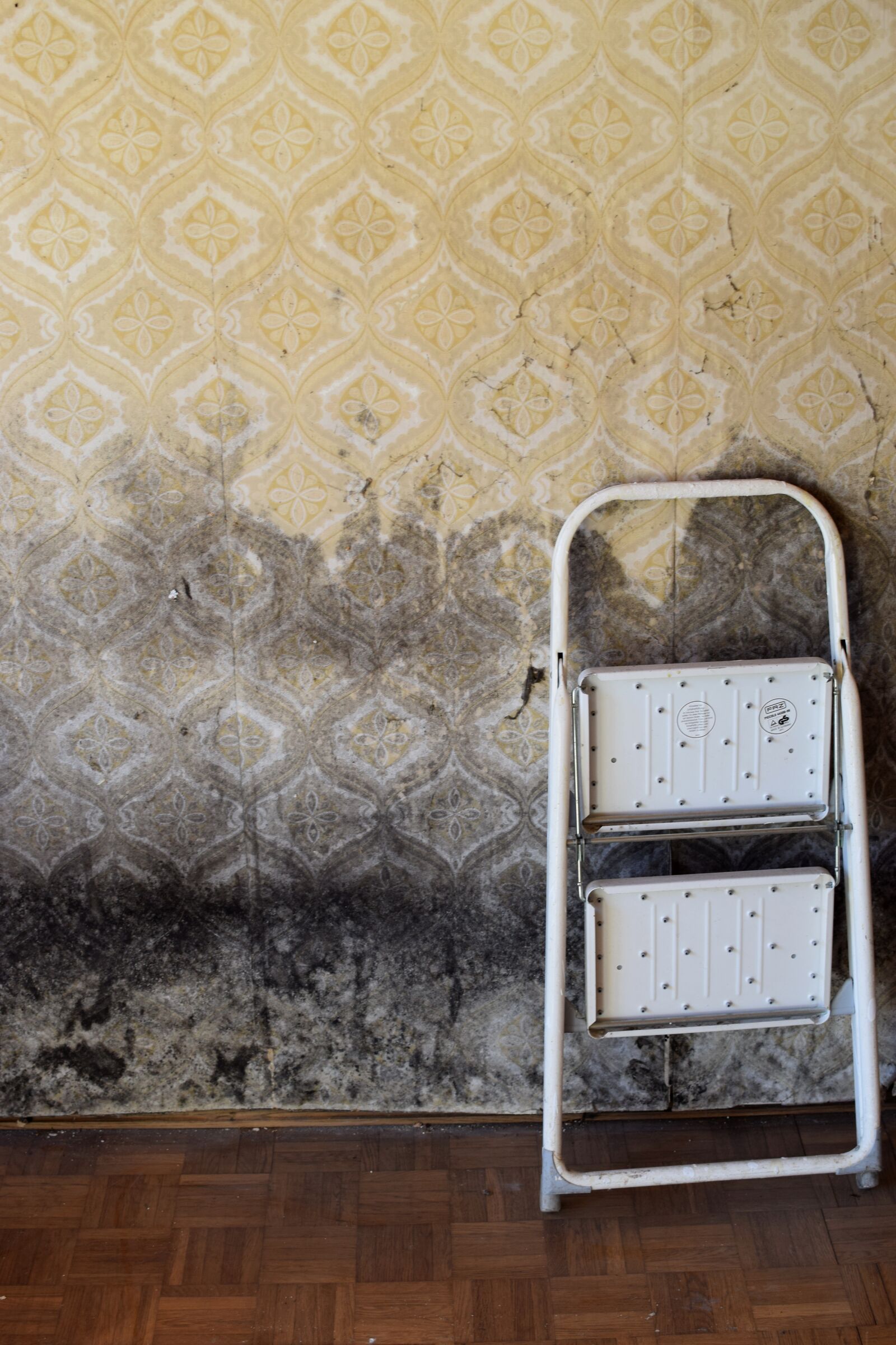 Nikon D5300 sample photo. Mold, mold wall, old photography