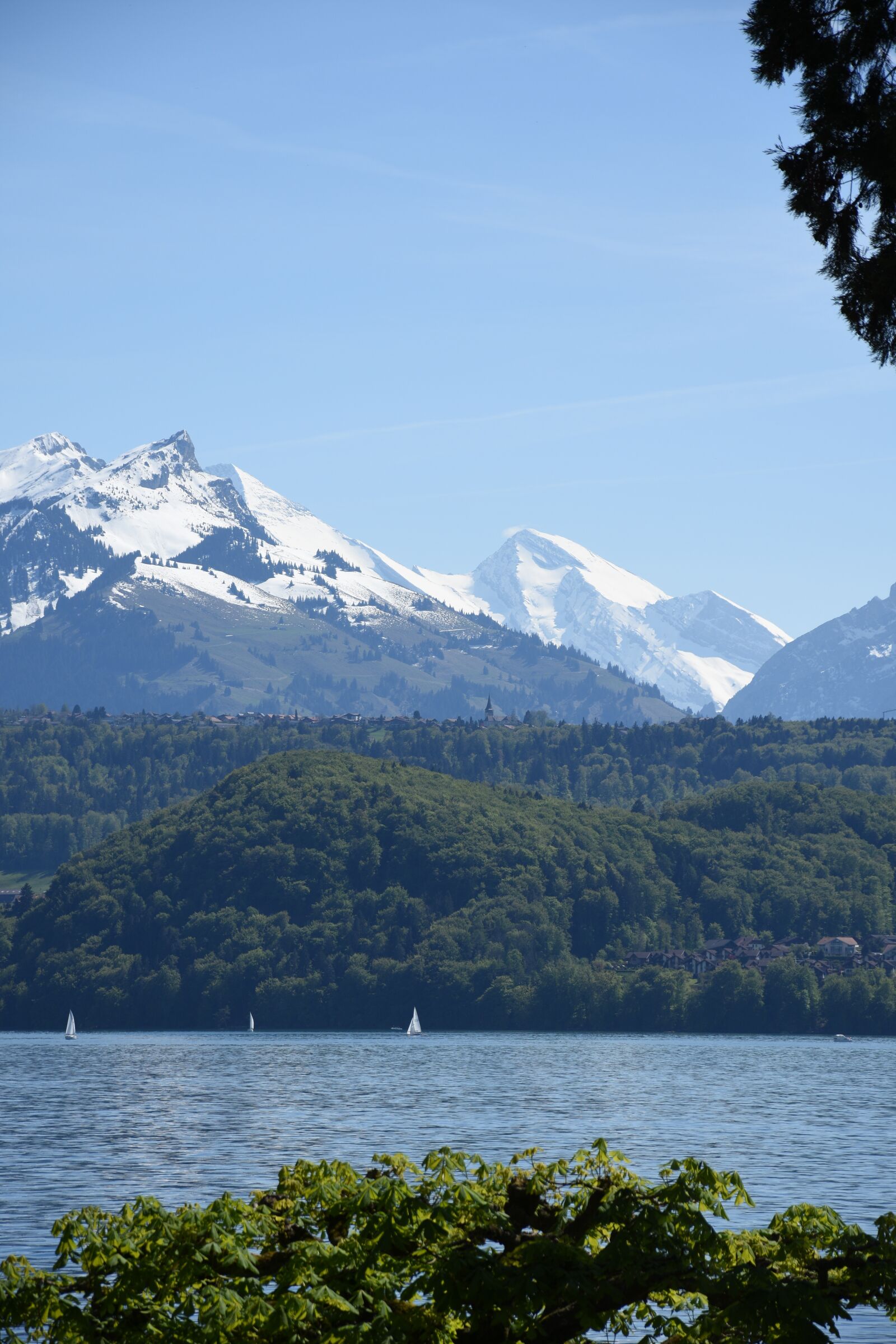 Nikon D7200 sample photo. Lake thun, alpine, lake photography