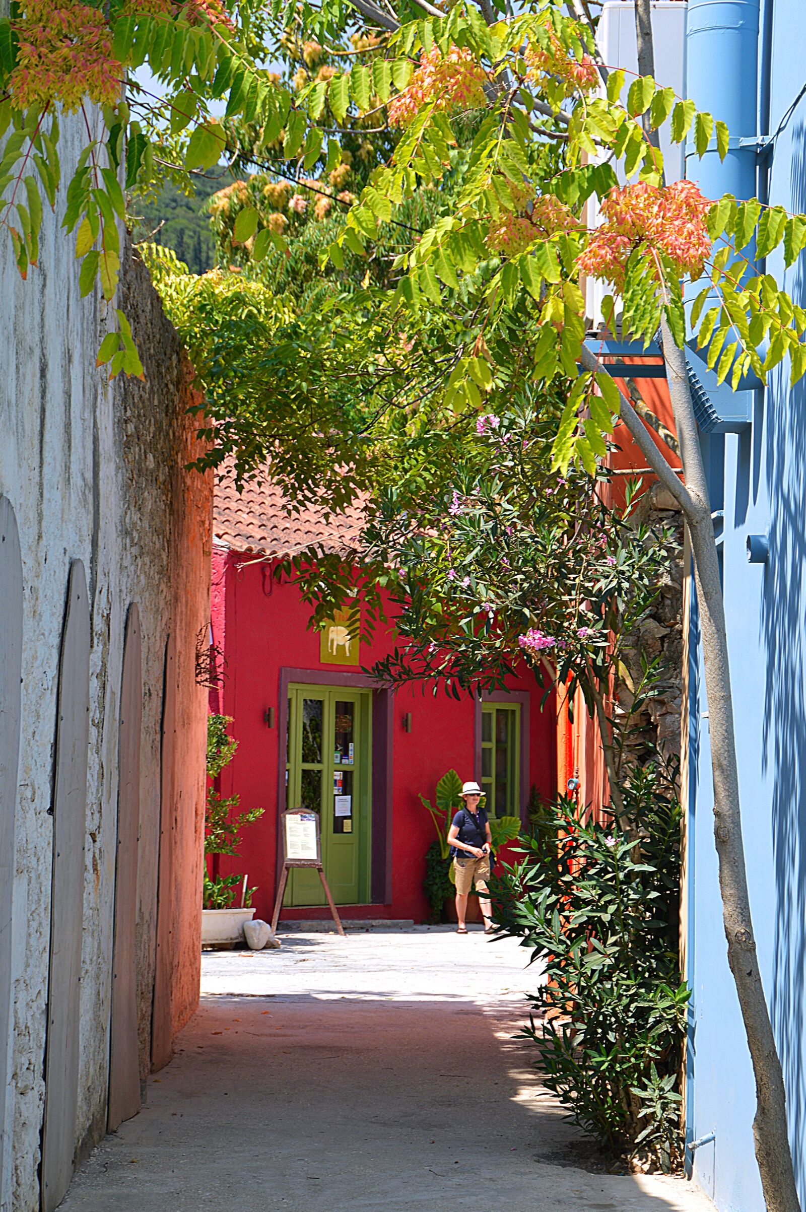 Nikon D3200 sample photo. Summer, holiday, village photography