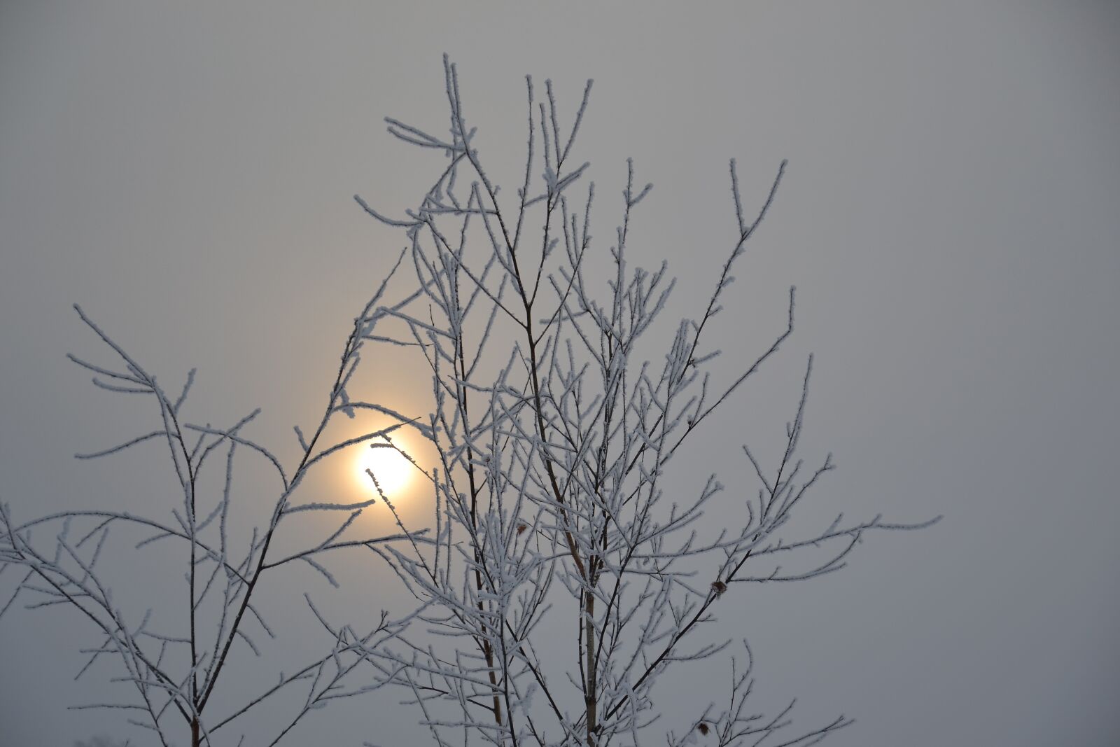 Nikon D3100 sample photo. It's a nasty day photography