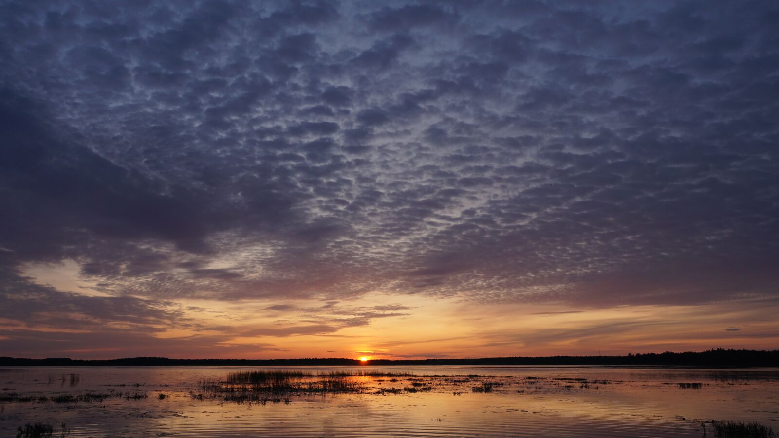 Sony a6000 sample photo. Estonia, nature, sun photography