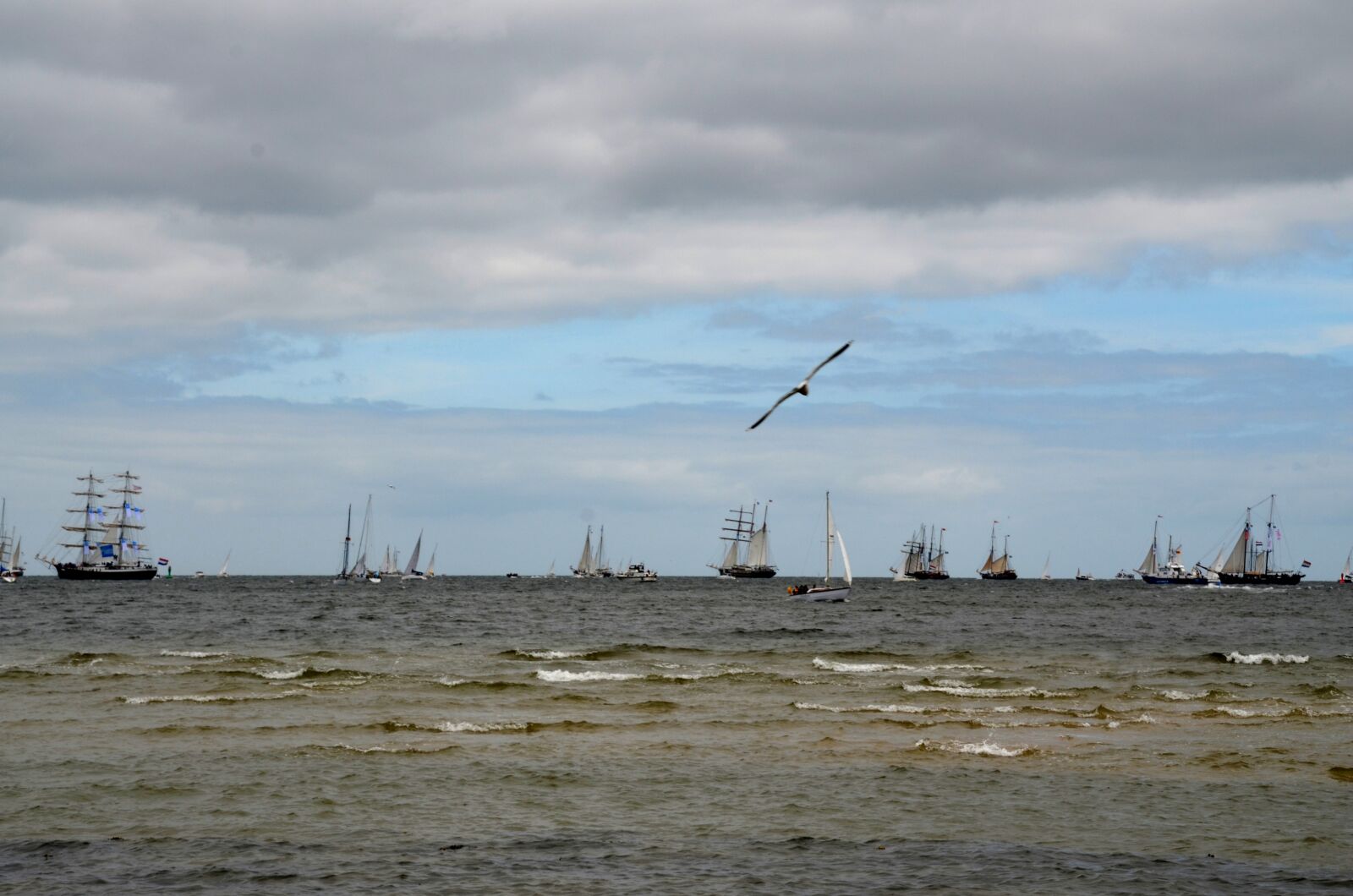 Nikon D5100 sample photo. Sail, ship, kiel week photography