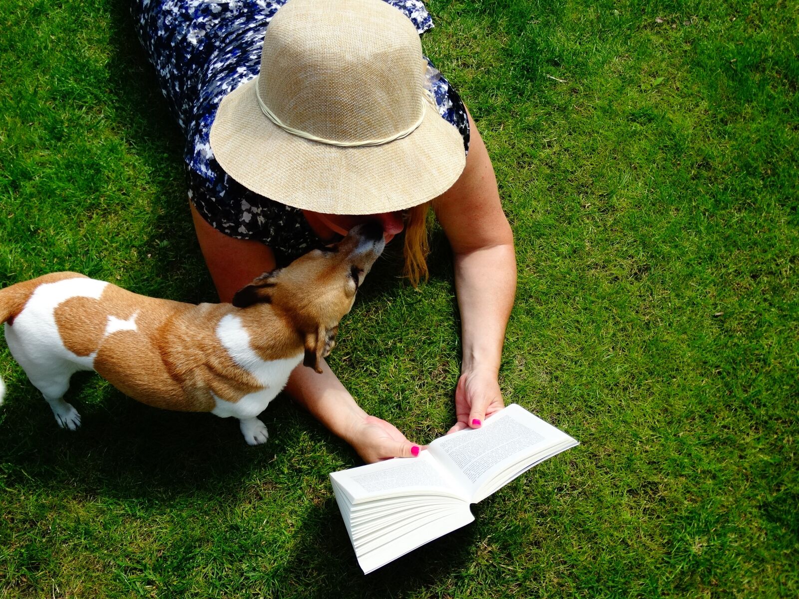 Sony Cyber-shot DSC-HX300 sample photo. Book, read, jack russell photography