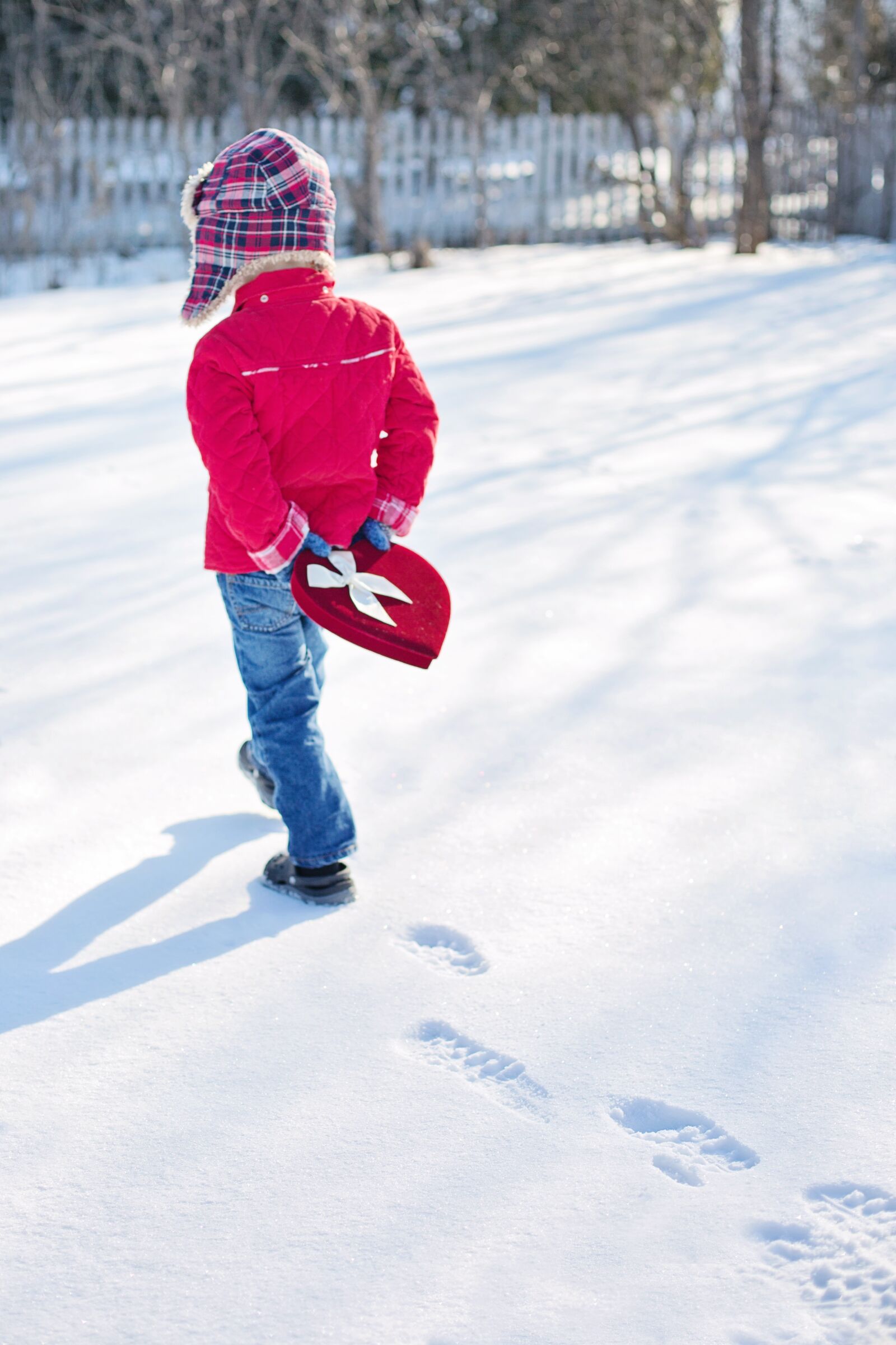 Canon EF 50mm F1.4 USM sample photo. Snow, heart, winter, valentine photography