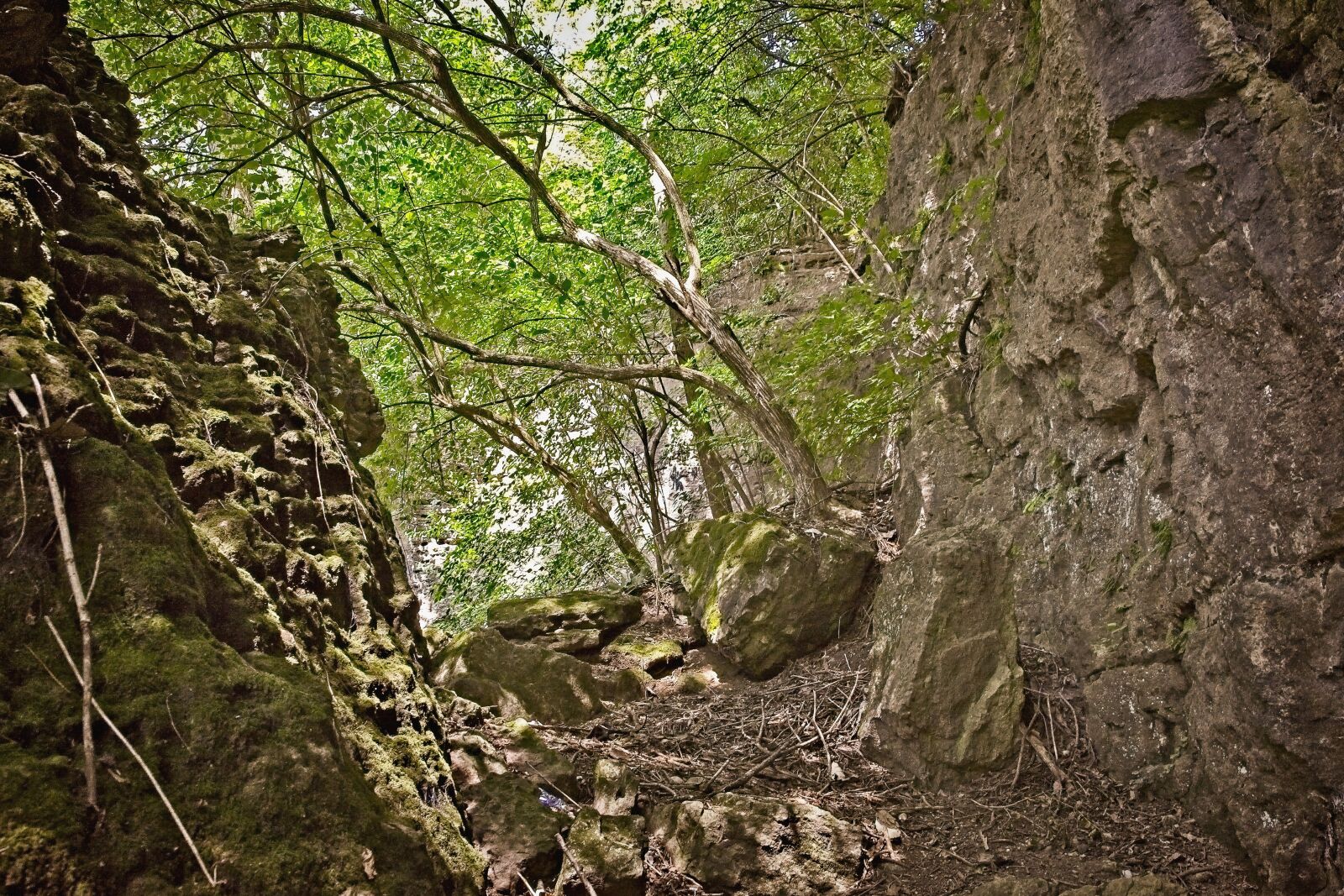 Canon EOS 5D Mark II + Canon EF 24-105mm F4L IS USM sample photo. Caves, path, ferncliff photography