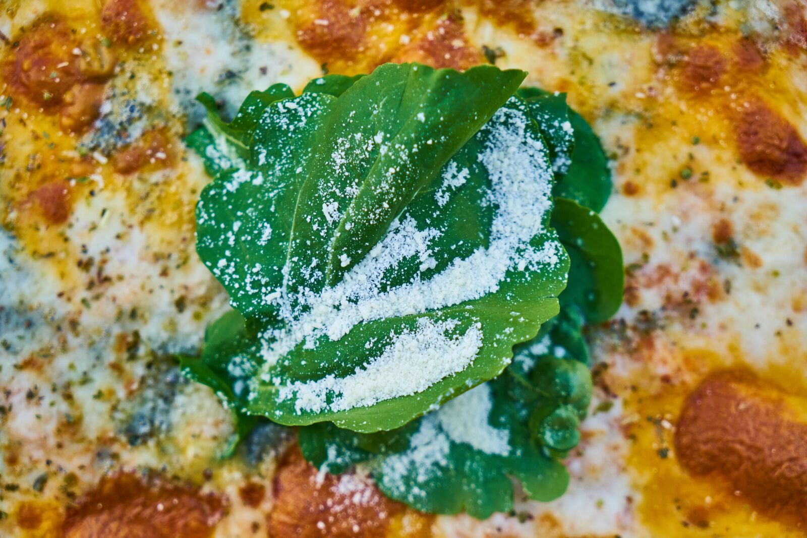 Sony a7R II sample photo. Pizza, dough, kitchen photography