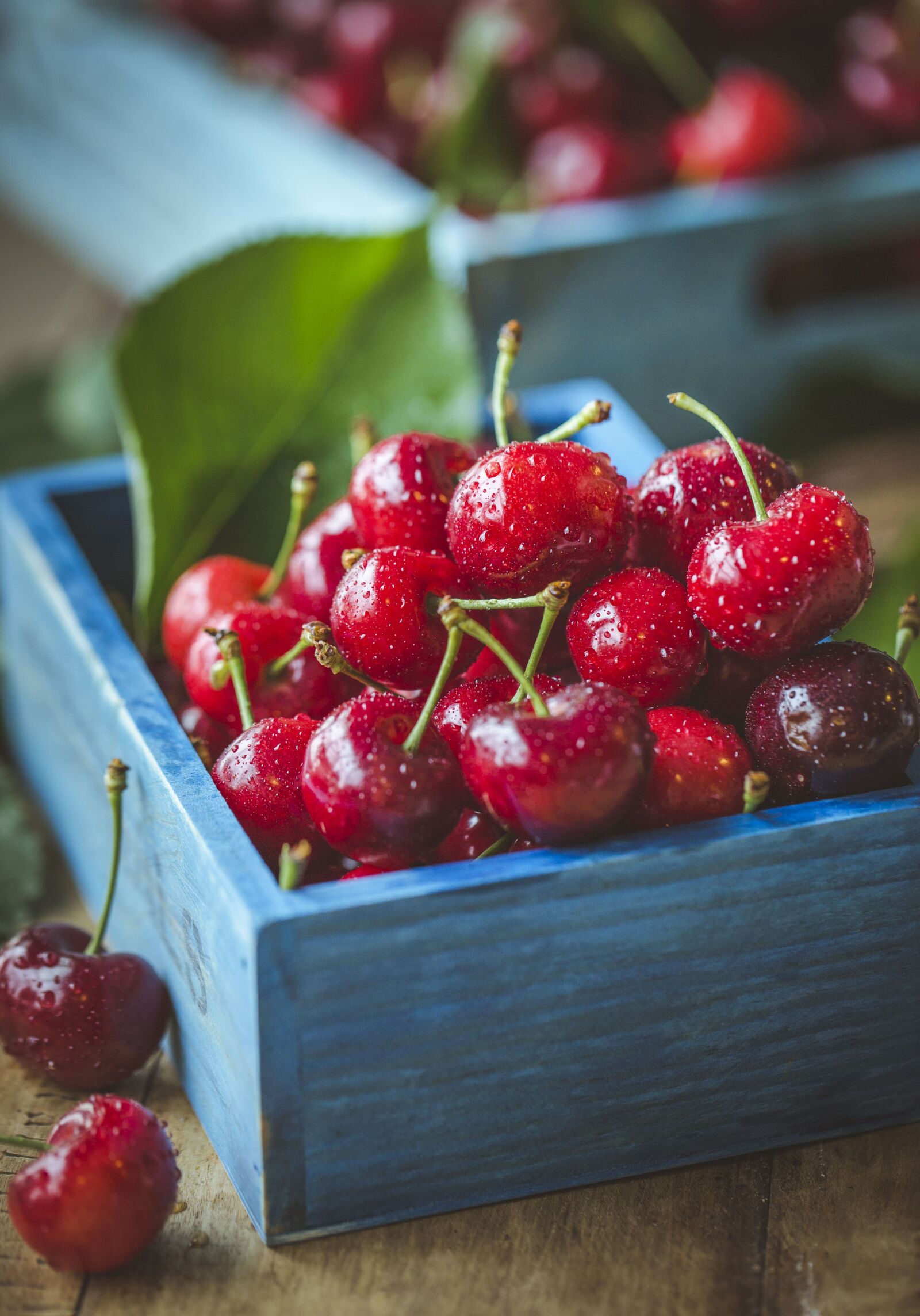 Canon EF 100mm F2.8L Macro IS USM sample photo. Cherry, cherries, fruit photography