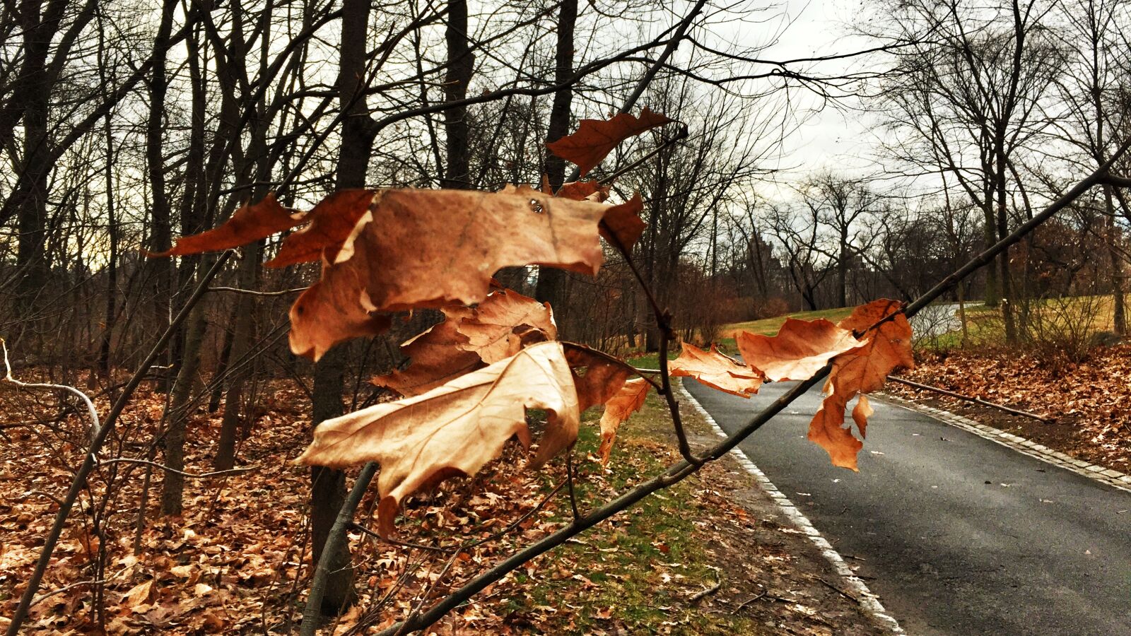 iPhone 6 back camera 4.15mm f/2.2 sample photo. New, york, city photography