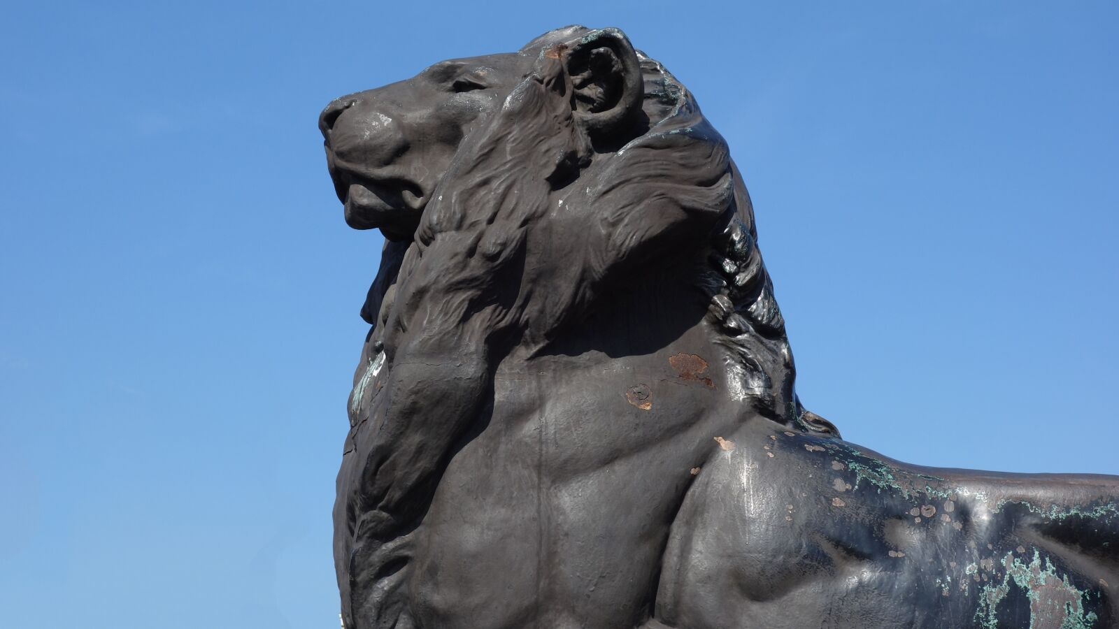 Sony Cyber-shot DSC-RX100 sample photo. Image, sculpture, lion photography
