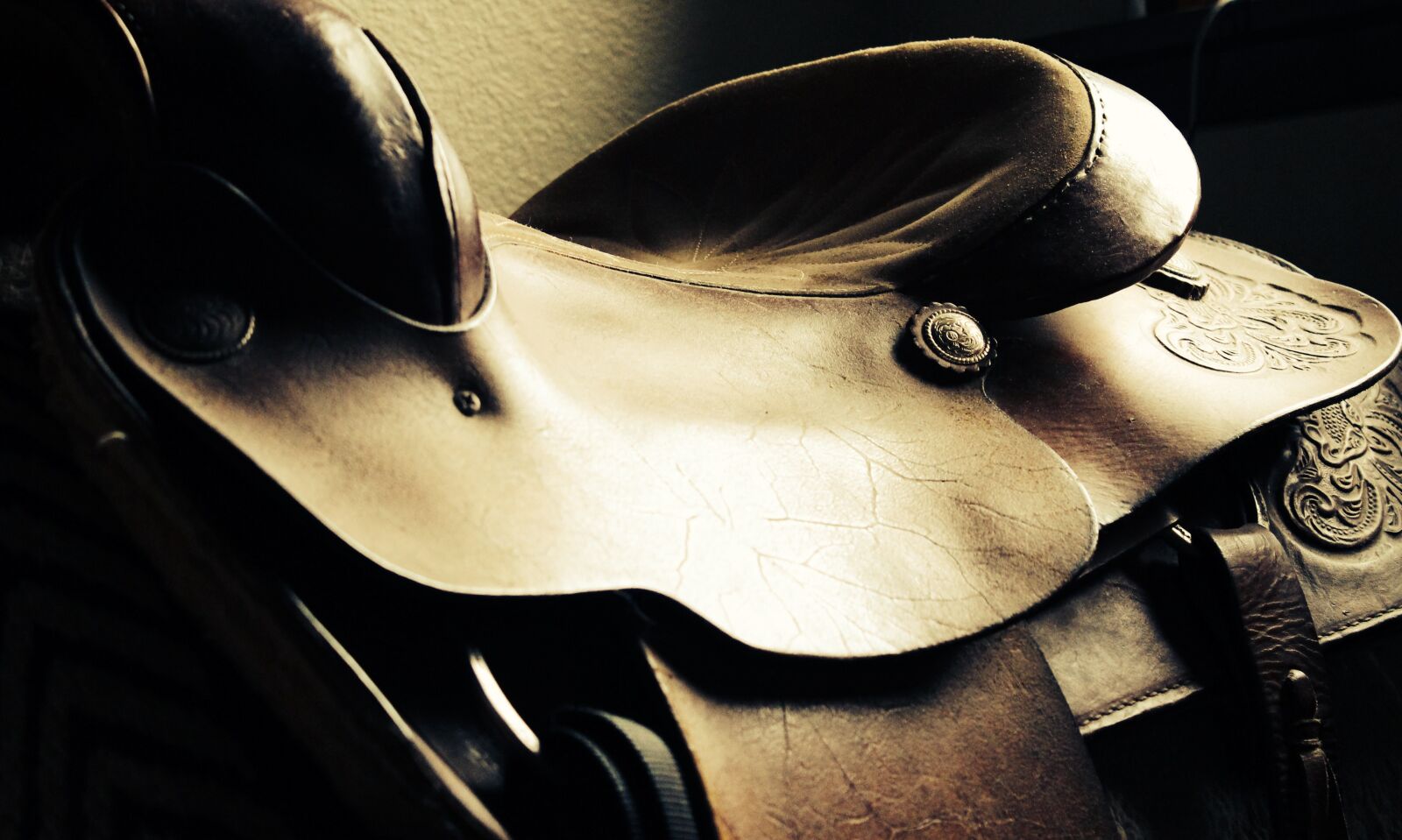 Canon EOS 600D (Rebel EOS T3i / EOS Kiss X5) sample photo. Saddle, western, horse photography