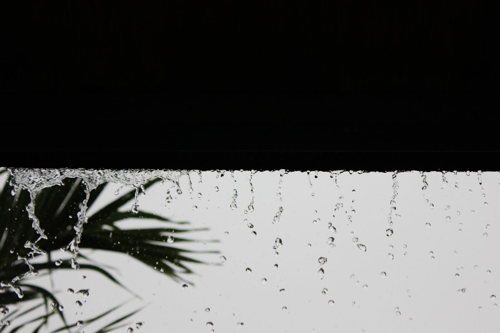 Canon EOS 550D (EOS Rebel T2i / EOS Kiss X4) sample photo. Composition, nature, white photography