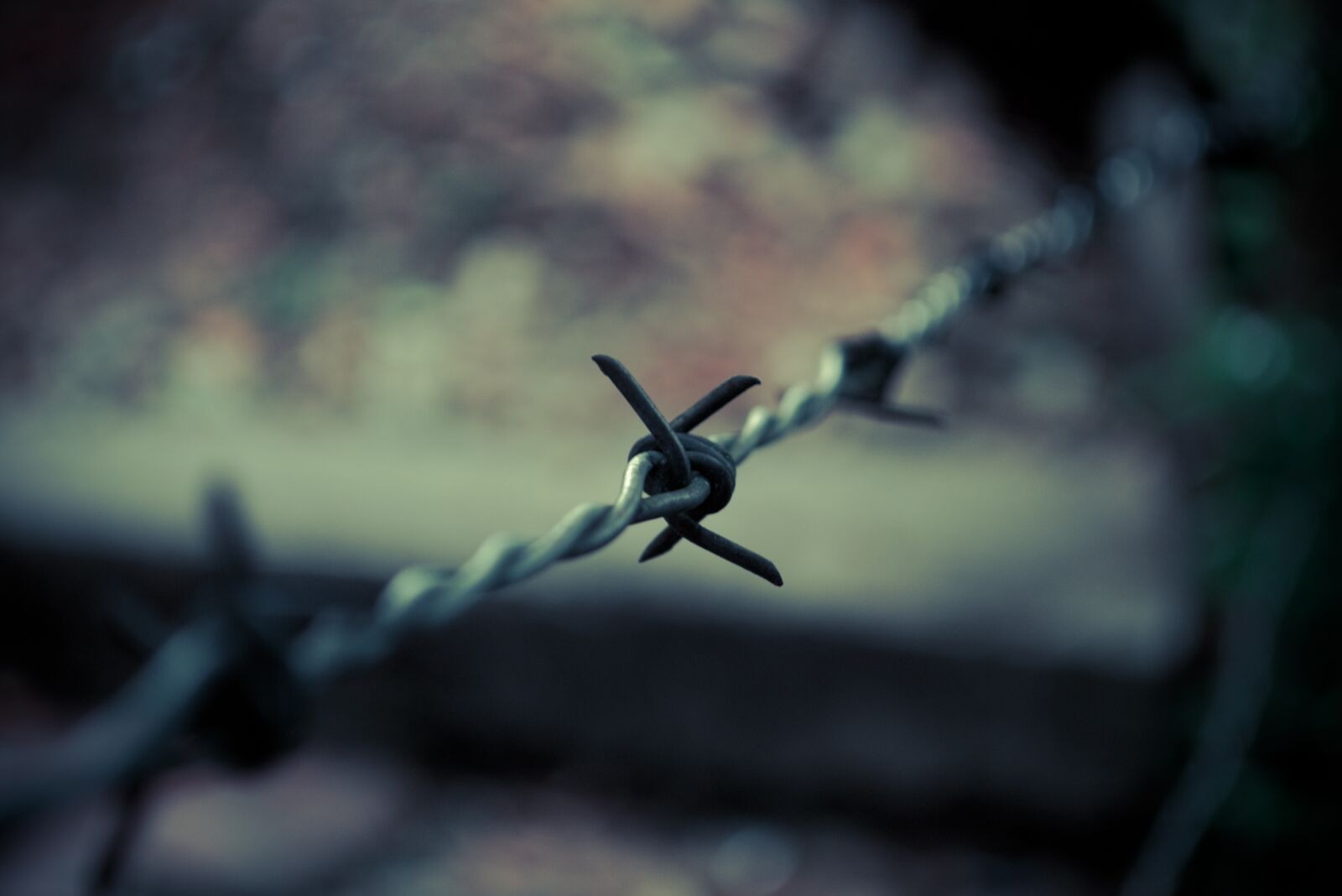 Nikon D3100 sample photo. Grating, escalvitud, kidnapping photography