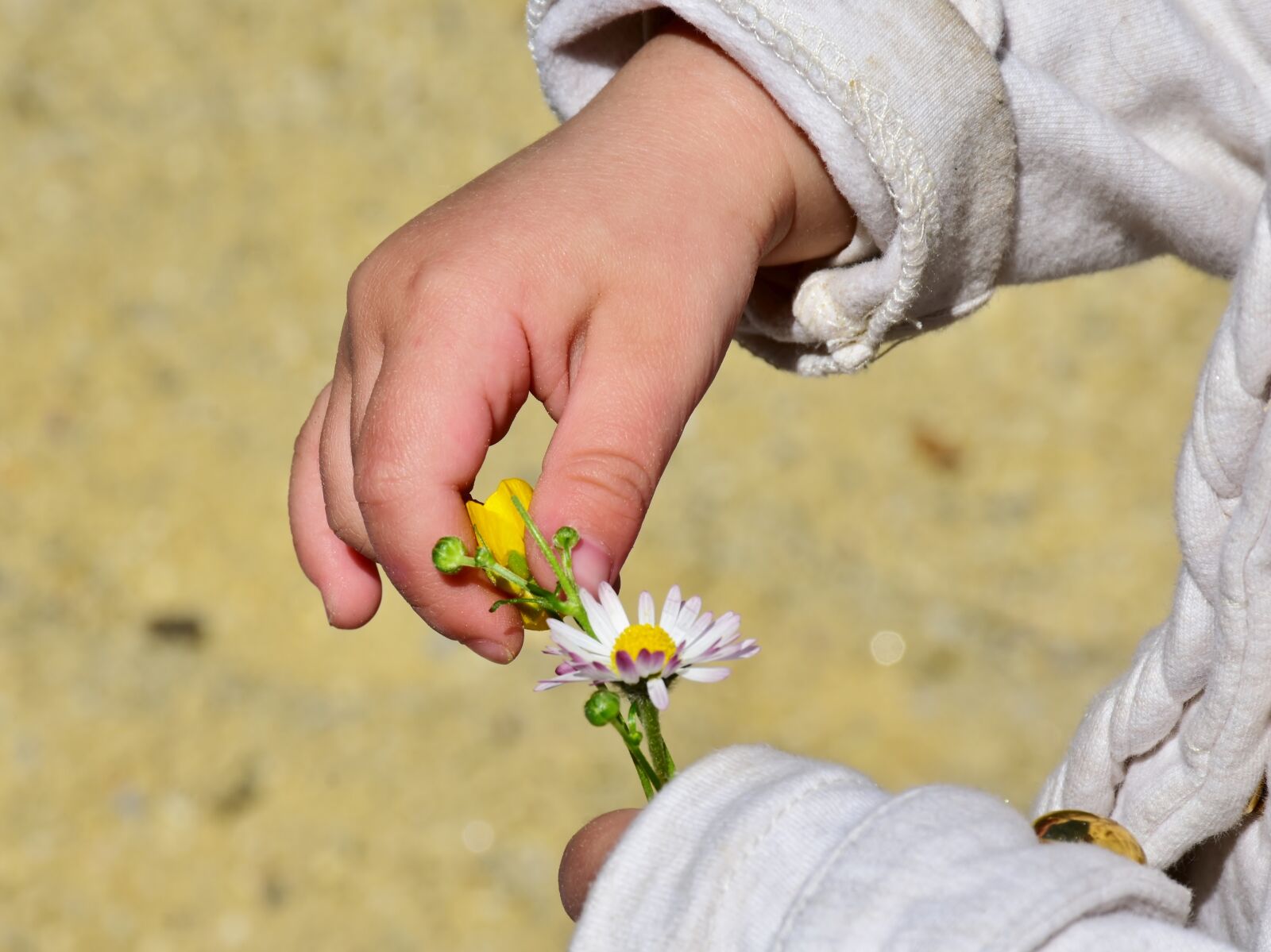Nikon D7200 sample photo. Child, girl, hand photography