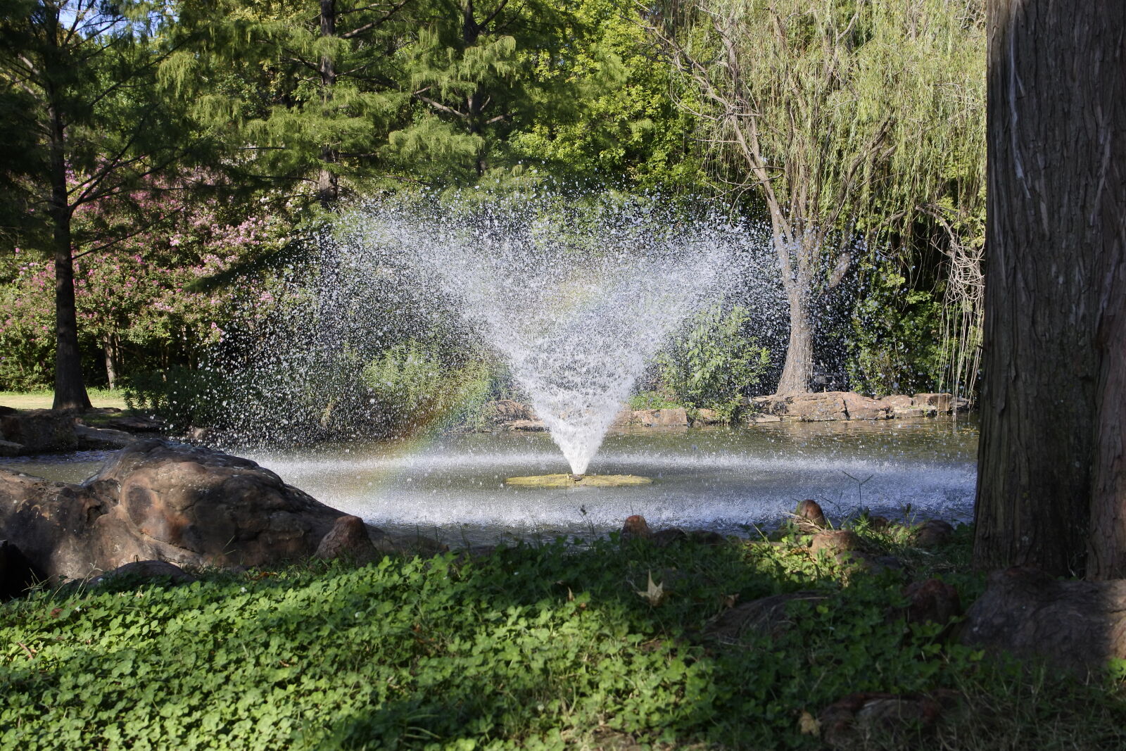Nikon 1 J5 sample photo. Fountain, garden, pond, water photography