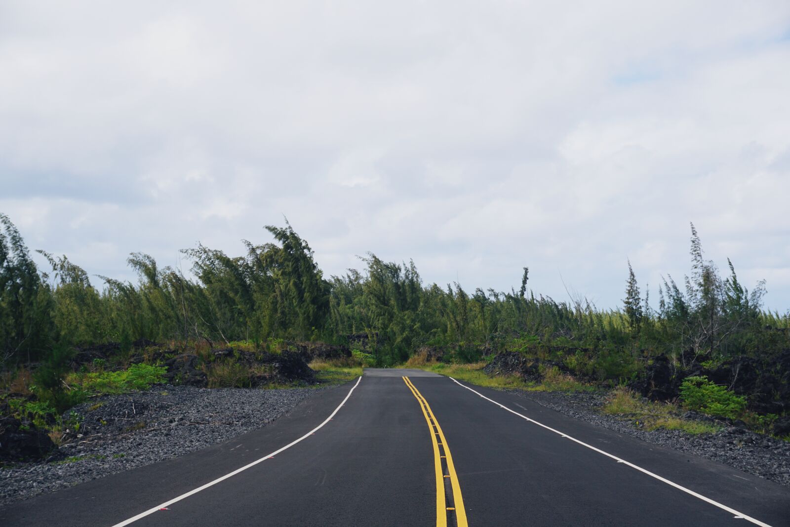 Sony a6000 sample photo. Road, asphalt, highway photography
