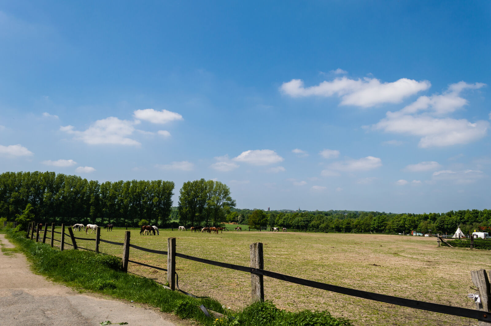 Nikon D3200 sample photo
