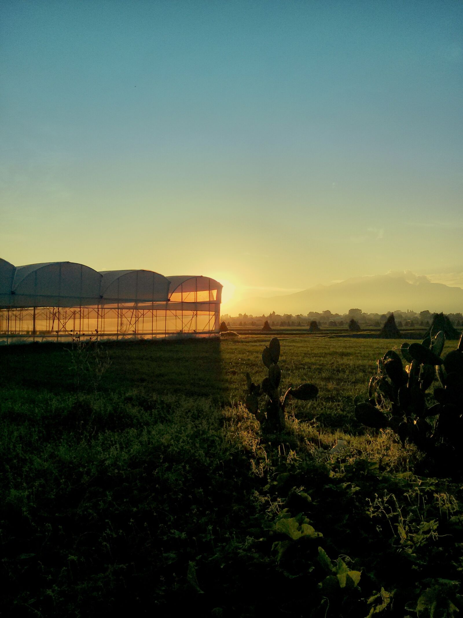 LG Nexus 4 sample photo. Greenhouse, sky, landscapes photography