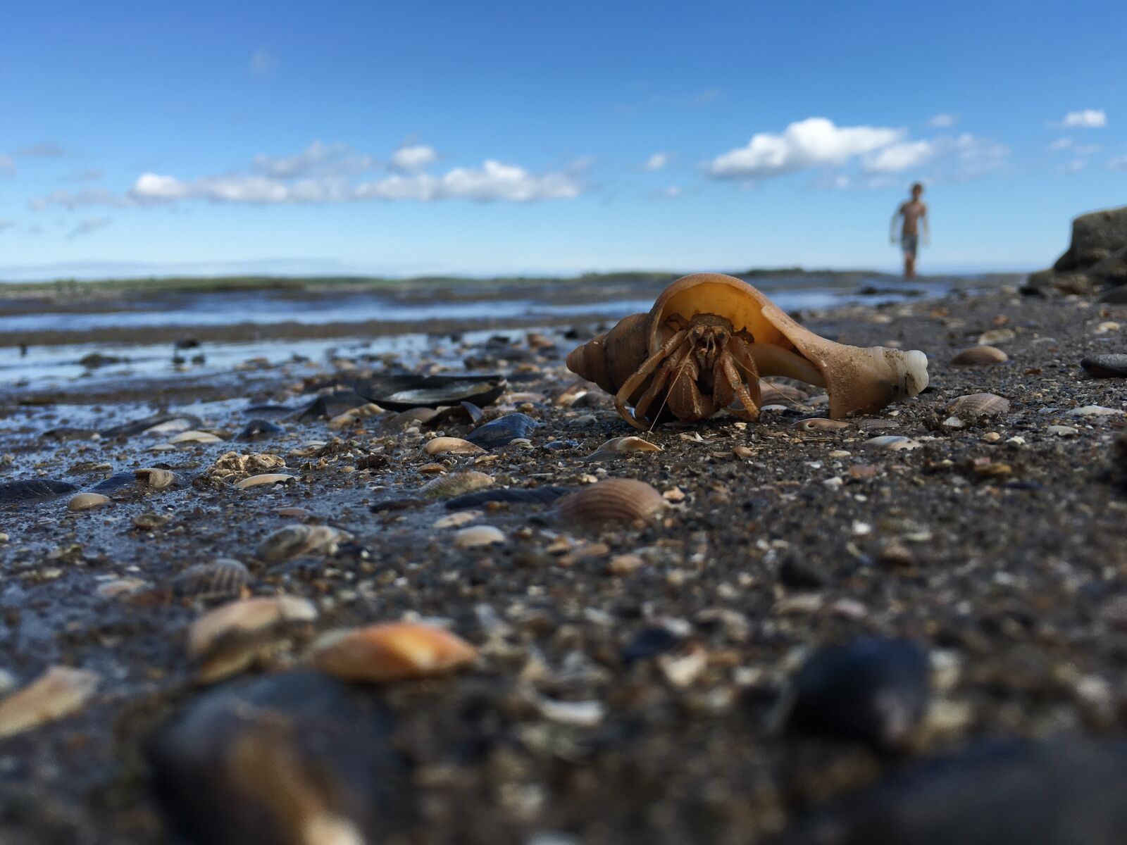 Apple iPhone 6s sample photo. Sea, water, blue photography