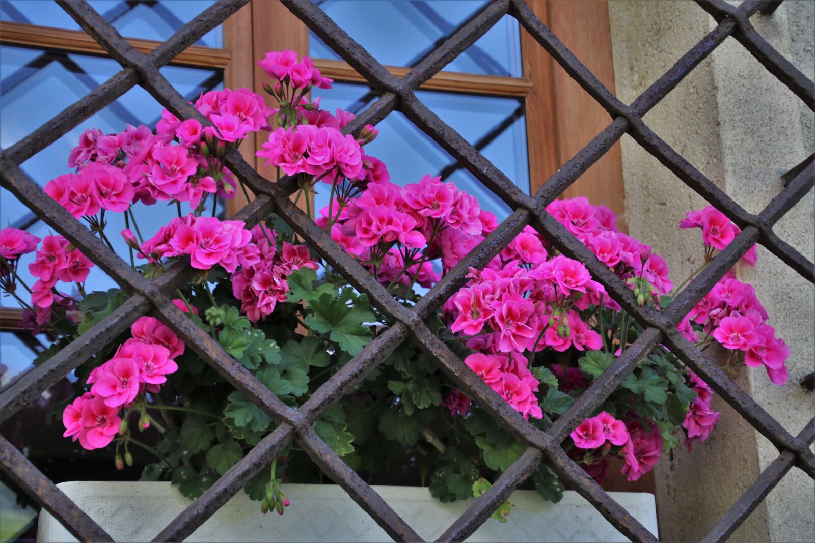 Canon EOS 80D sample photo. Window sill, grating, geraniums photography
