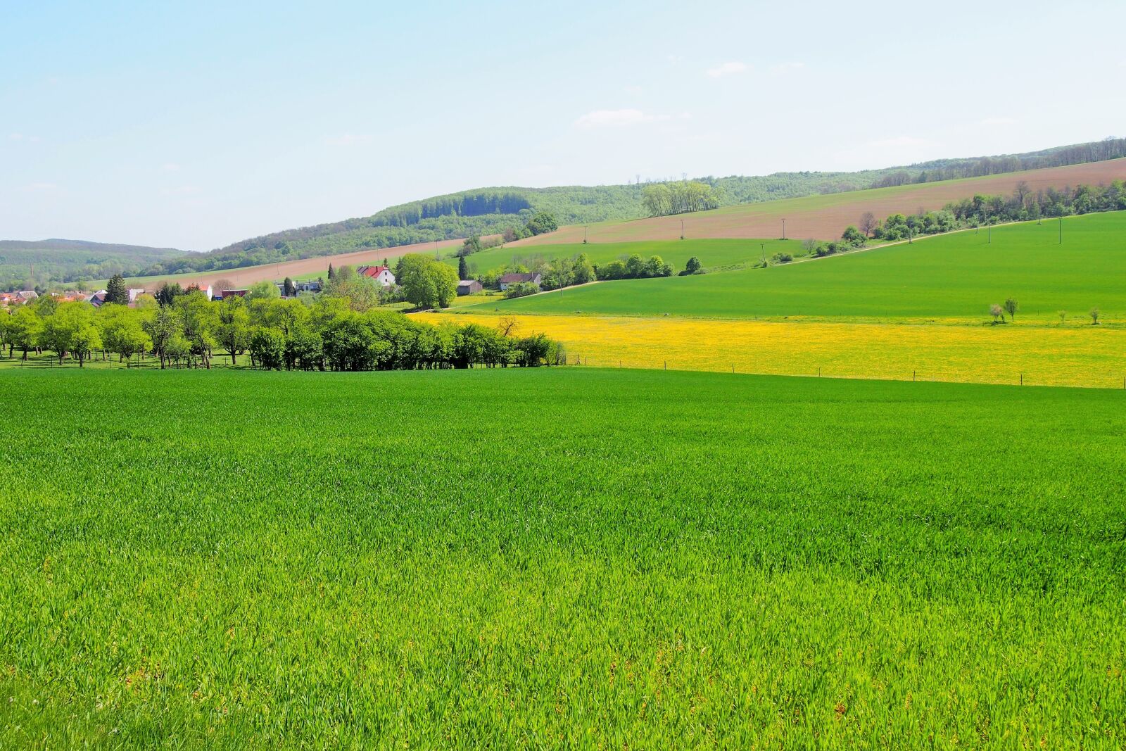 Olympus PEN E-PL6 sample photo. Rape fields, slovakia, travel photography