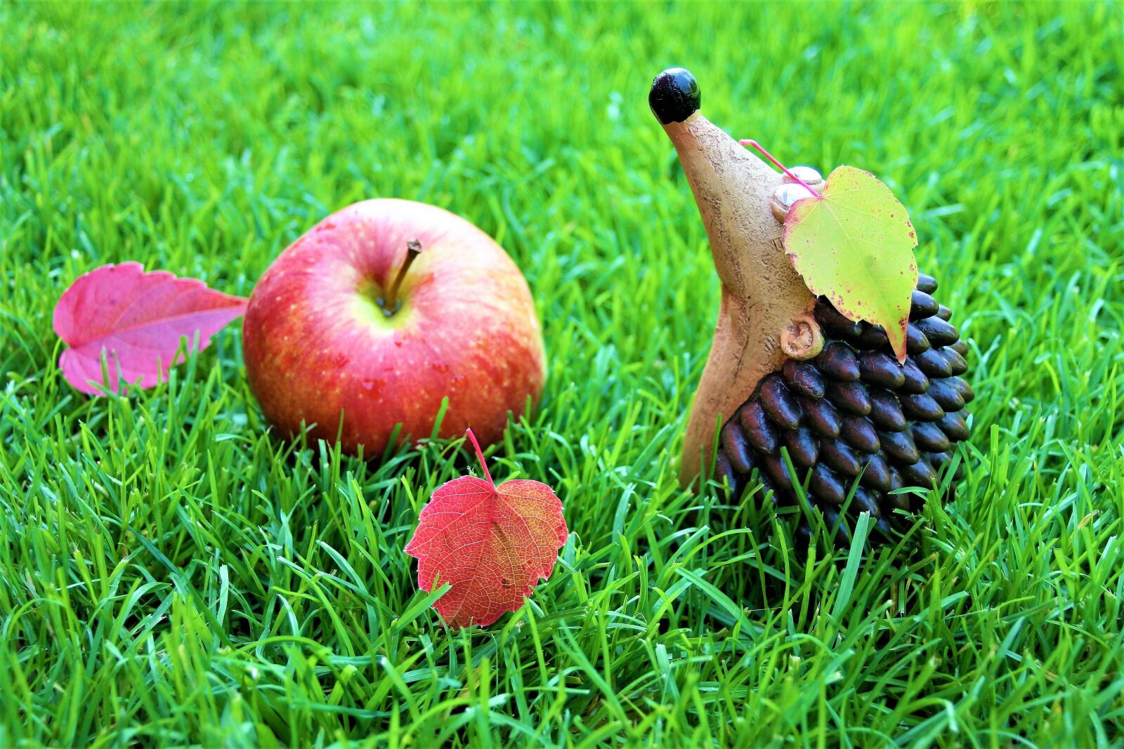 Canon EOS 400D (EOS Digital Rebel XTi / EOS Kiss Digital X) sample photo. Autumn weather, optimistic, decoration photography