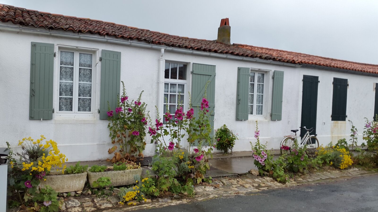 Samsung Galaxy Alpha sample photo. Ile, re, france photography