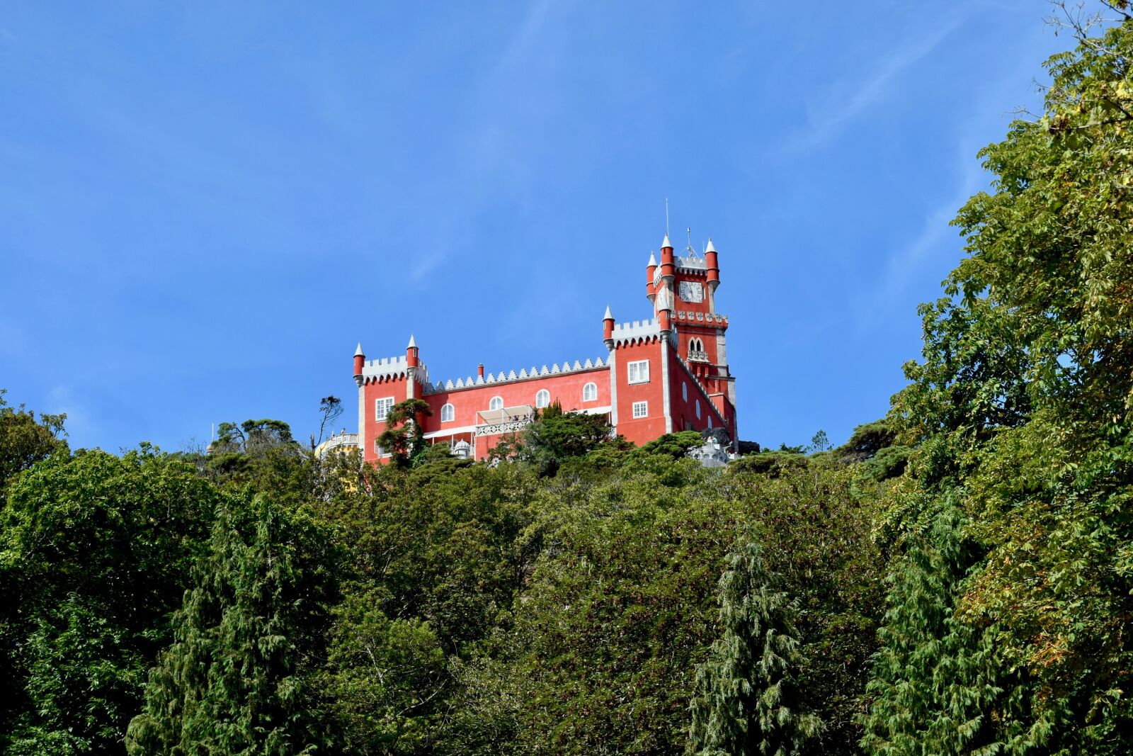 Nikon D5300 sample photo. Parque, nature, sintra photography