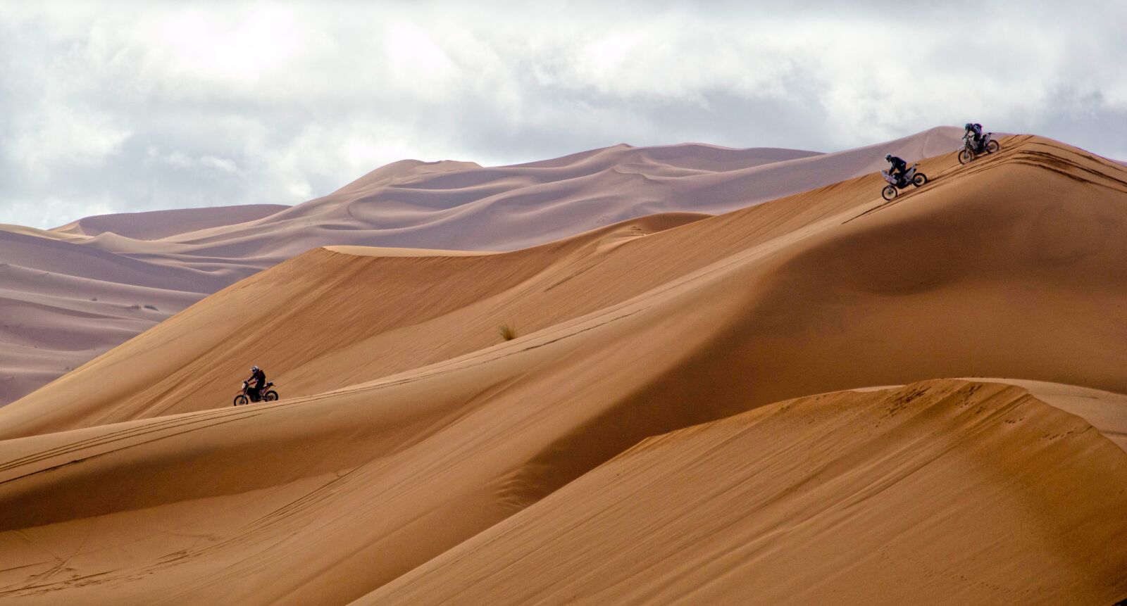 Nikon D3100 sample photo. Desert, dune, morocco photography
