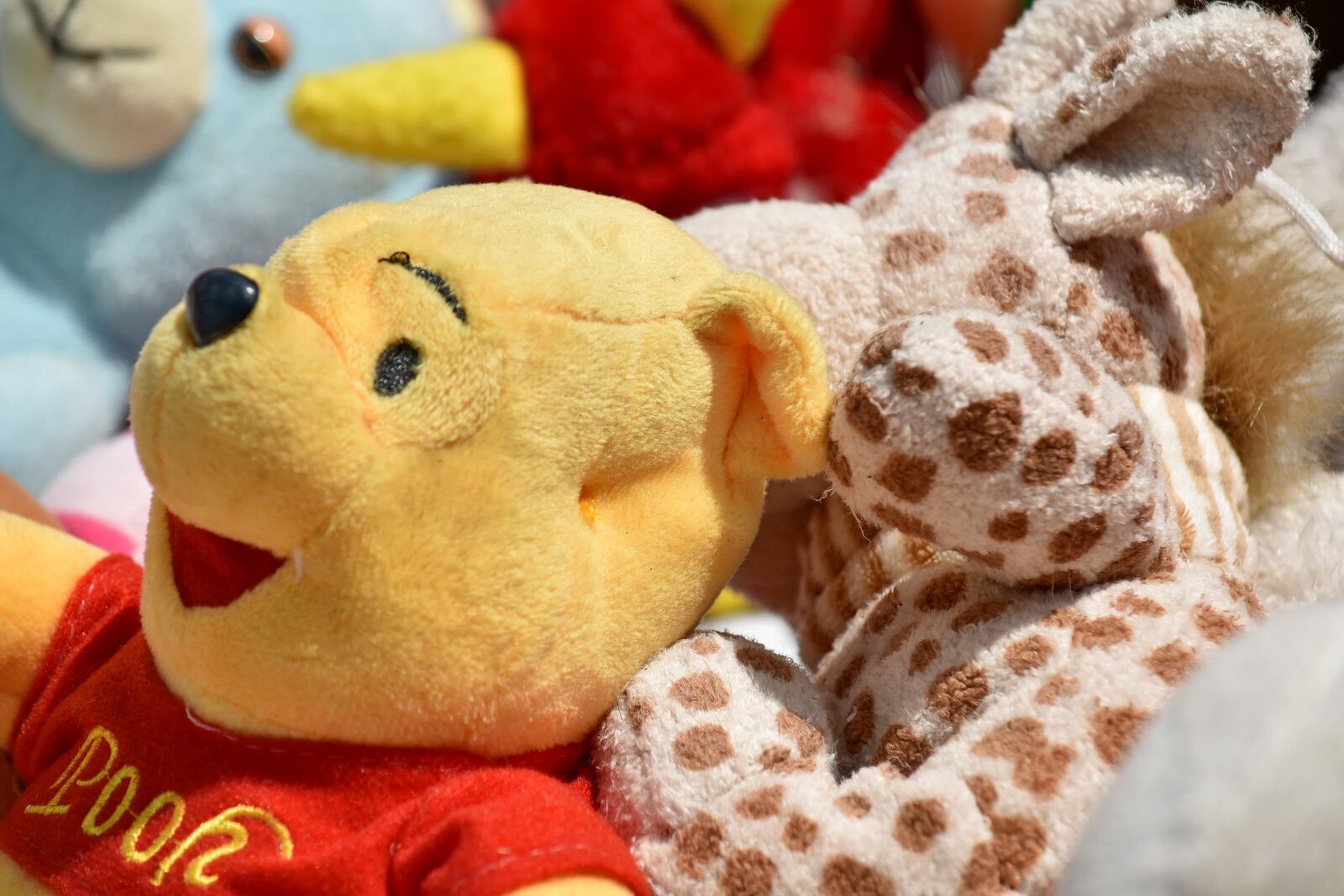 Nikon D5500 sample photo. Plush, toys, toyshop, teddy photography