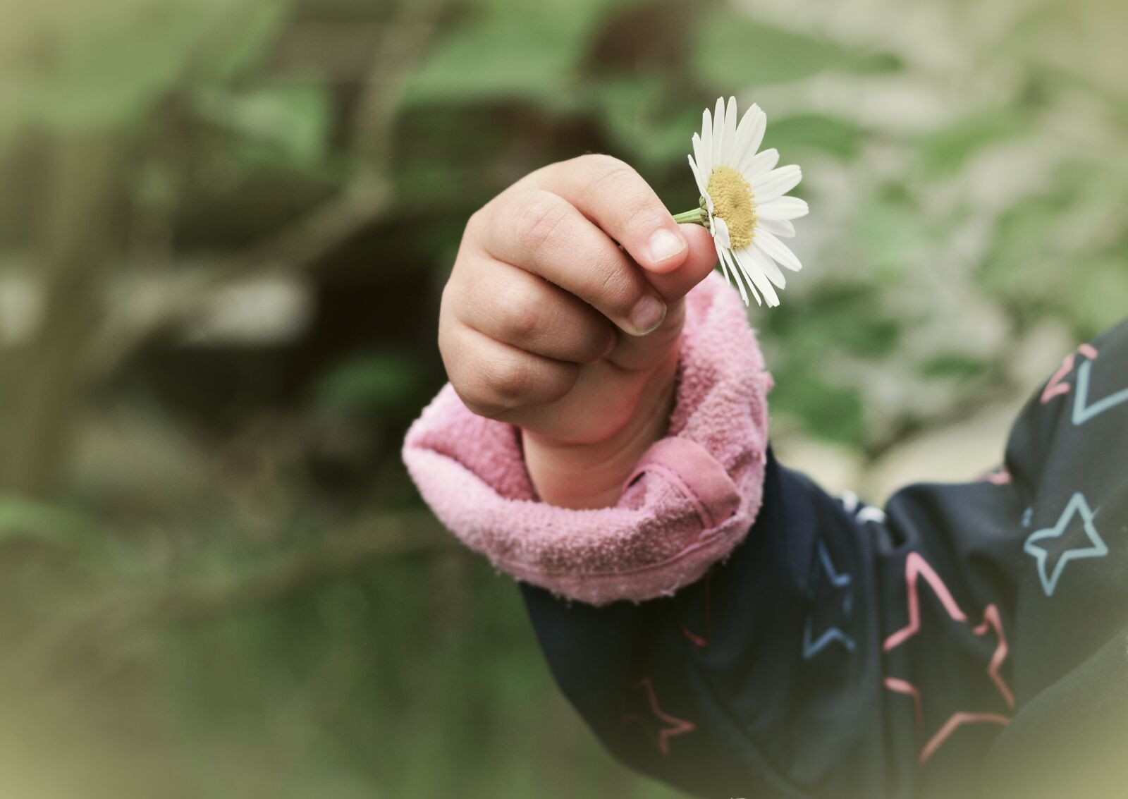 Nikon D5200 sample photo. Hand, child's hand, marguerite photography