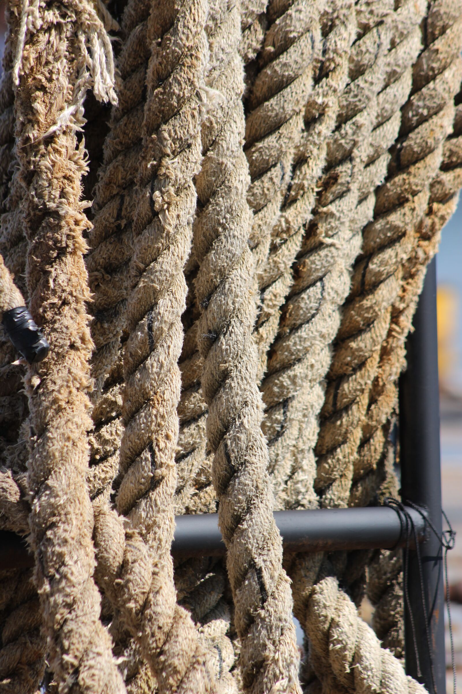 Canon EF 75-300mm f/4-5.6 sample photo. Sailing, rope, sailor photography