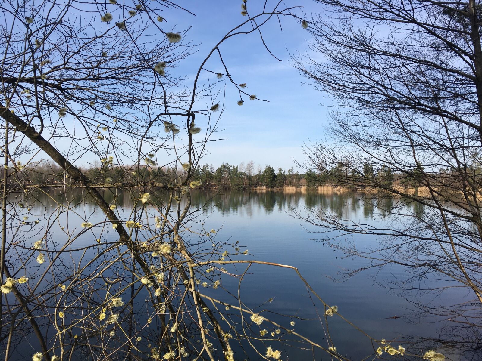 iPhone SE back camera 4.15mm f/2.2 sample photo. Nature, lake, water photography