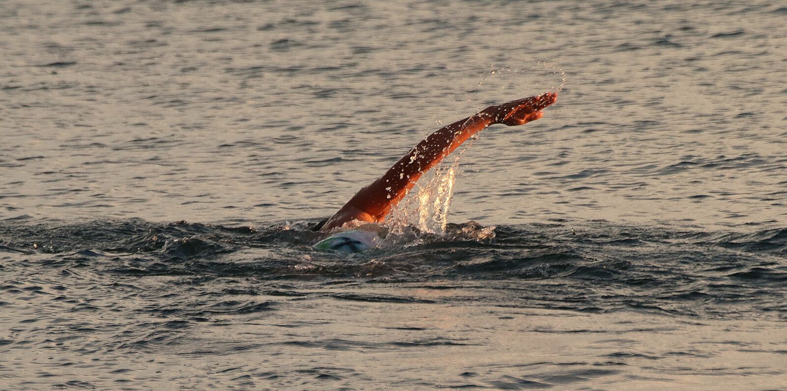 Canon EOS 200D (EOS Rebel SL2 / EOS Kiss X9) sample photo. Swim, swimmer, sport photography