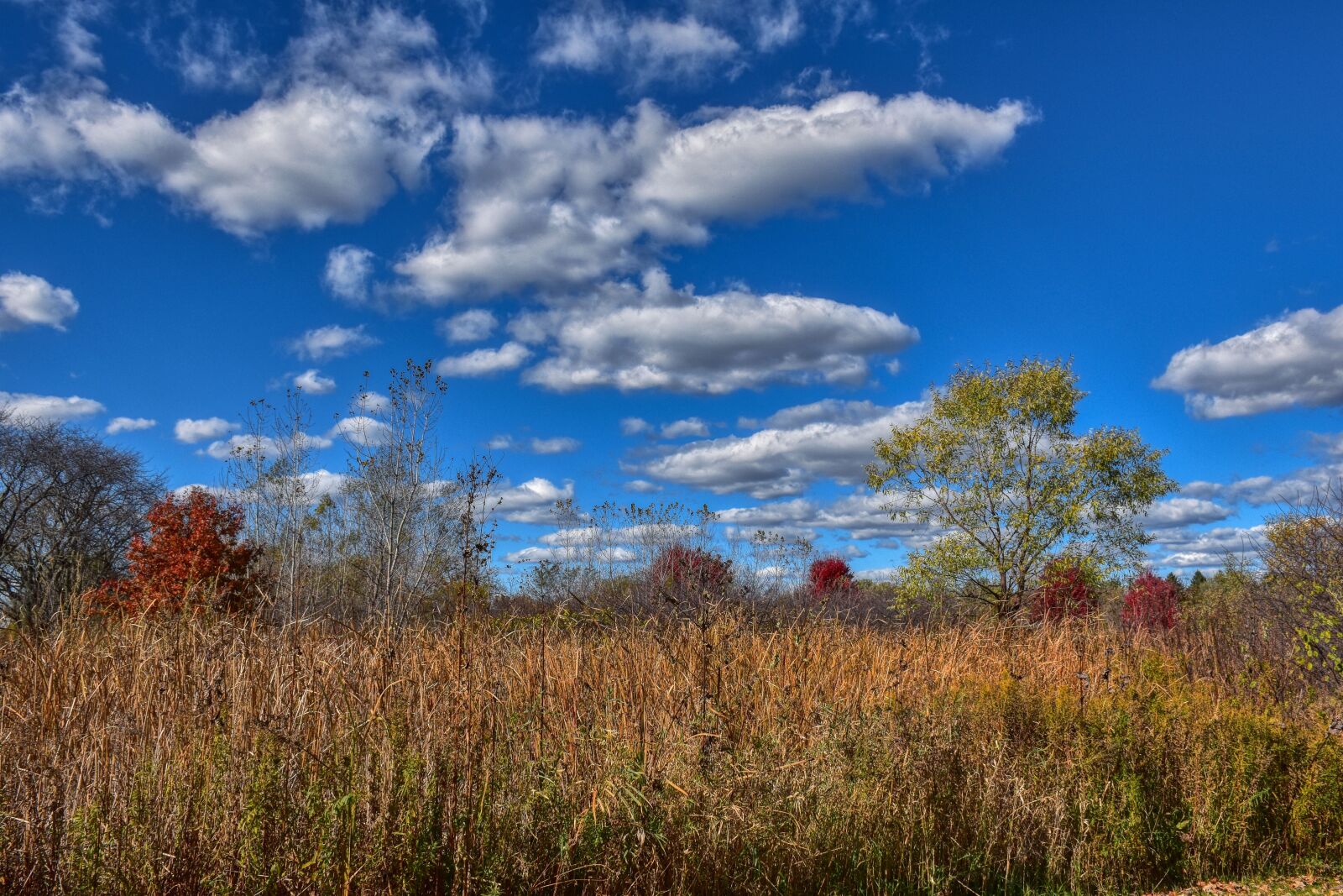Nikon D5500 sample photo. Landscape, fall, prairie photography