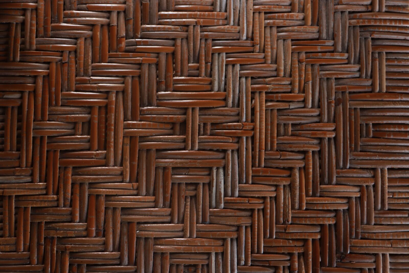 Canon EOS 800D (EOS Rebel T7i / EOS Kiss X9i) sample photo. Background, abstract, brown photography