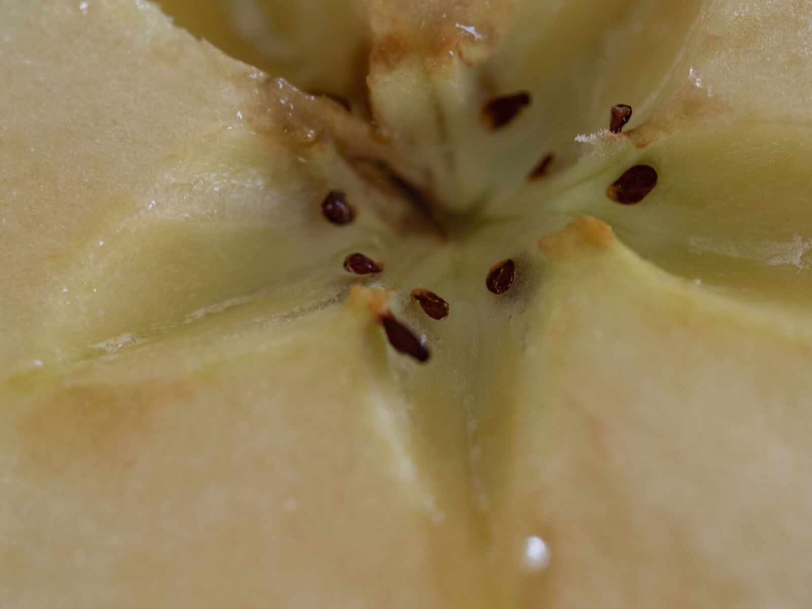 Olympus OM-D E-M10 III sample photo. Macro, fruit, apple photography