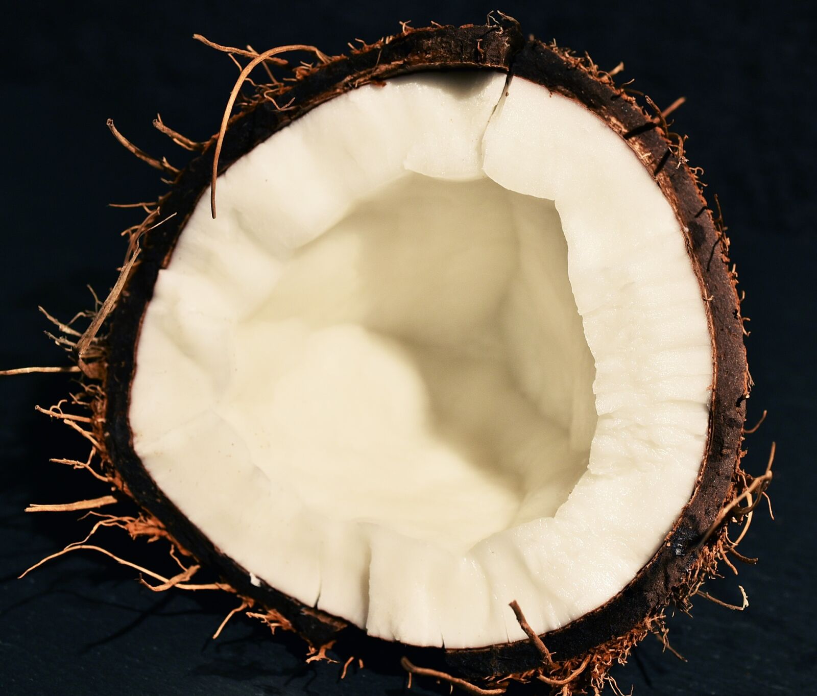 Nikon D750 sample photo. Coconut, diet, fetus photography