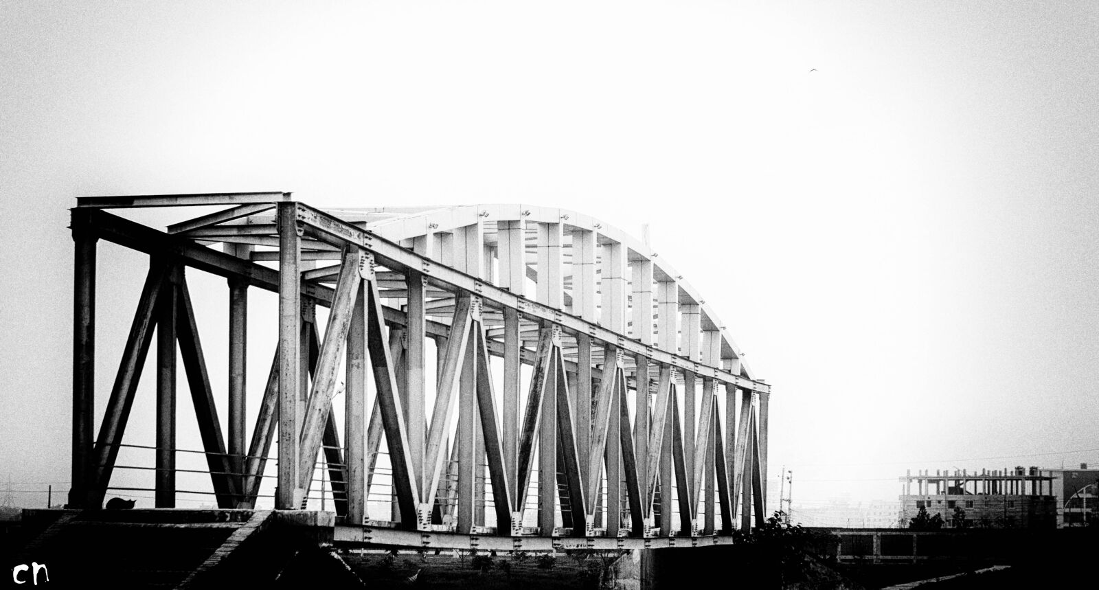 Canon EOS 600D (Rebel EOS T3i / EOS Kiss X5) + Canon EF 50mm F1.8 II sample photo. Black, and, white, bridge photography