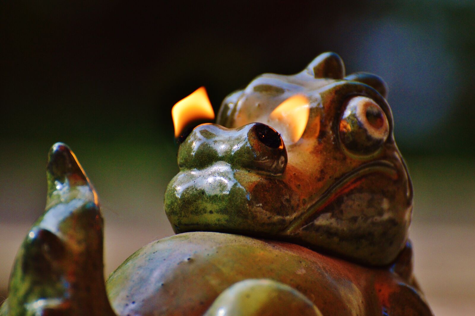 Nikon D3200 sample photo. Dragon, fire, nostrils photography