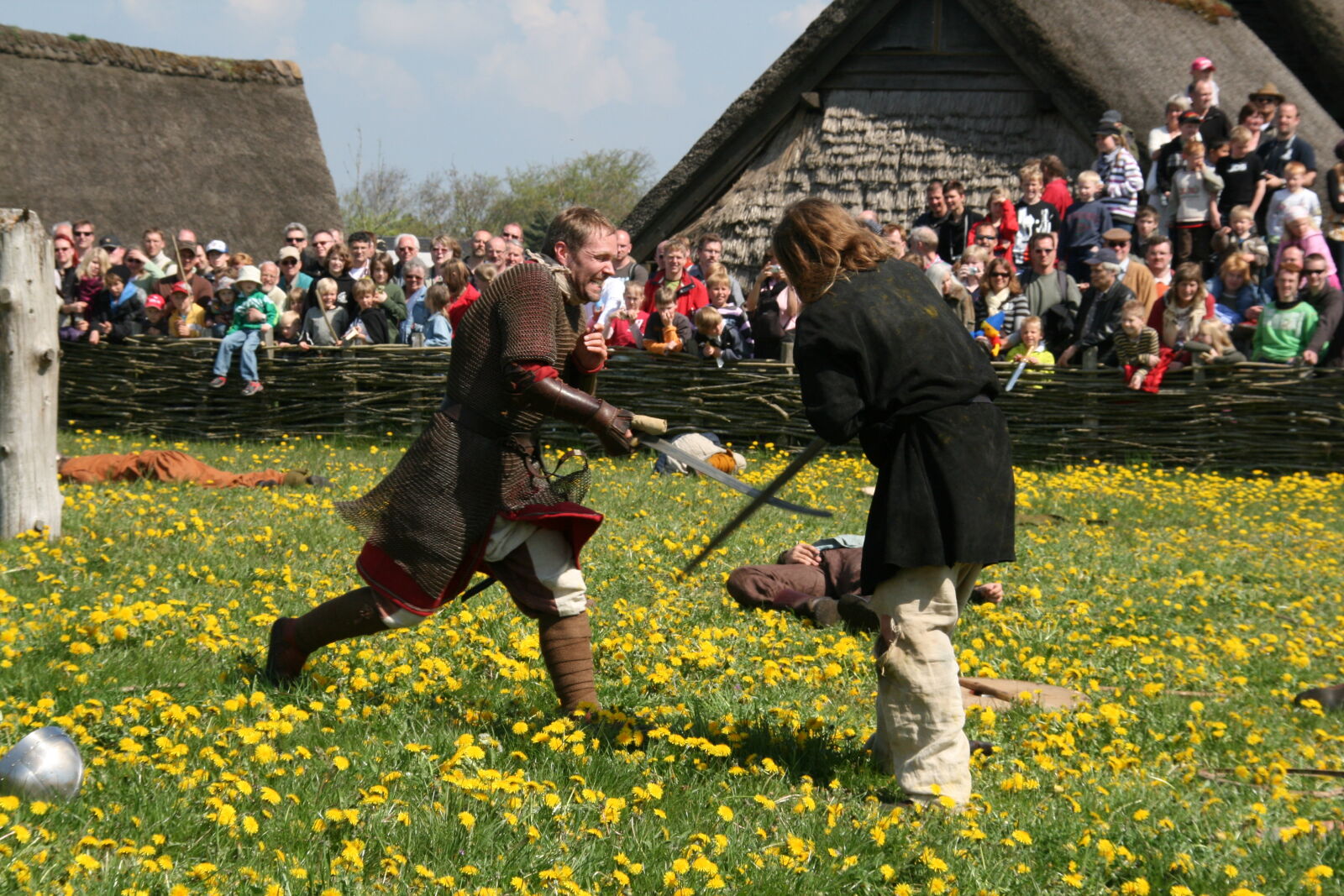 Sigma 18-200mm f/3.5-6.3 DC OS sample photo. Vikings photography
