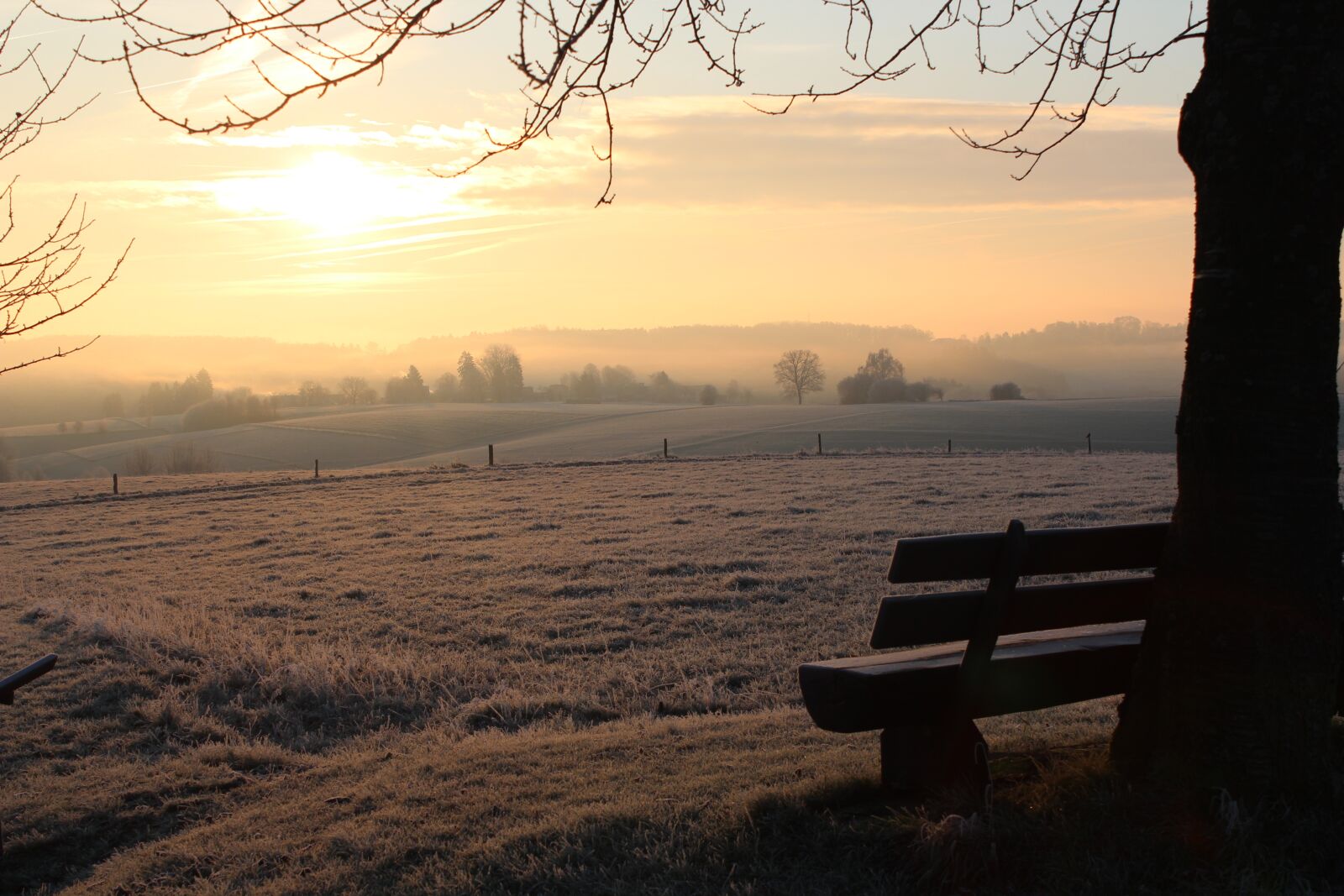 Canon EOS 600D (Rebel EOS T3i / EOS Kiss X5) sample photo. Hoarfrost, winter, cold photography