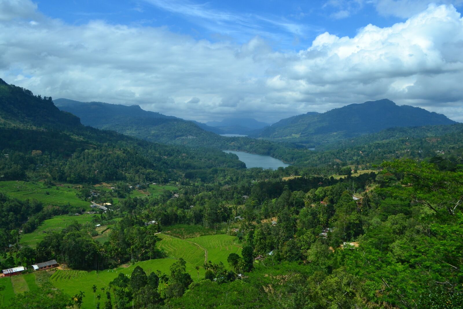 Nikon D3100 sample photo. Sri lanka, central province photography