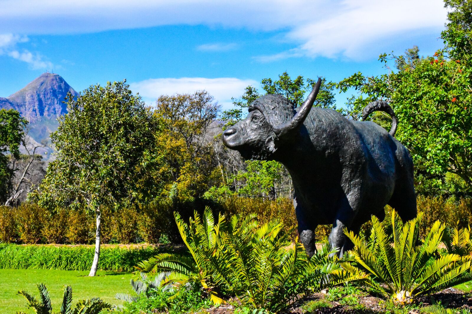 Nikon D5500 sample photo. Landscape, statue, buck photography