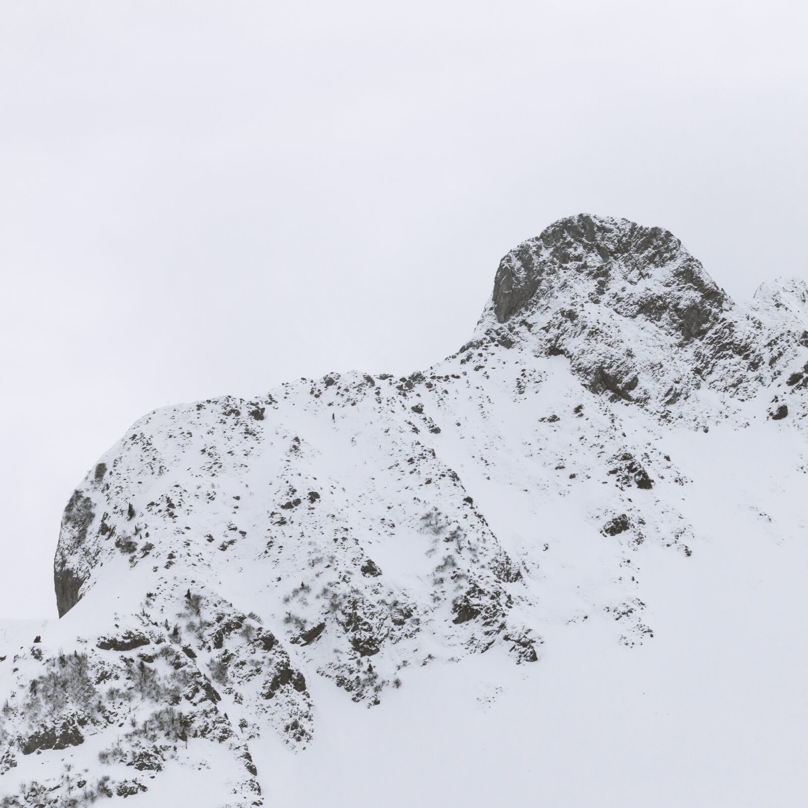 Canon EOS 5D Mark IV + 150-600mm F5-6.3 DG OS HSM | Contemporary 015 sample photo. Mountain, cold, snow photography