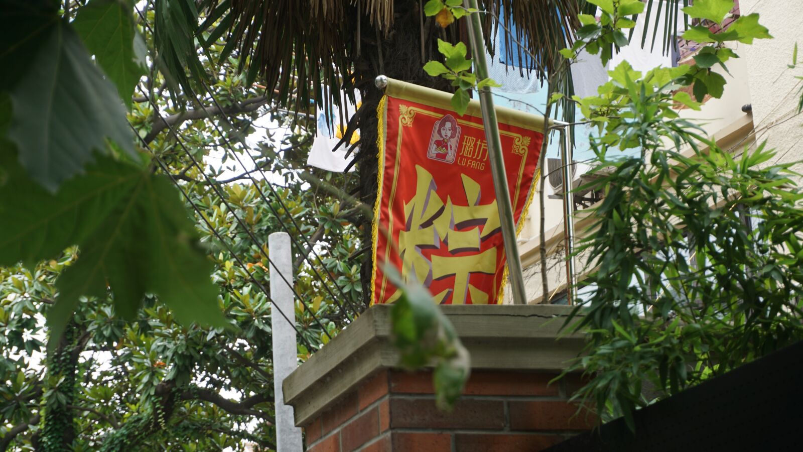 Sony a6000 sample photo. Dumplings, zongzi banner, banner photography