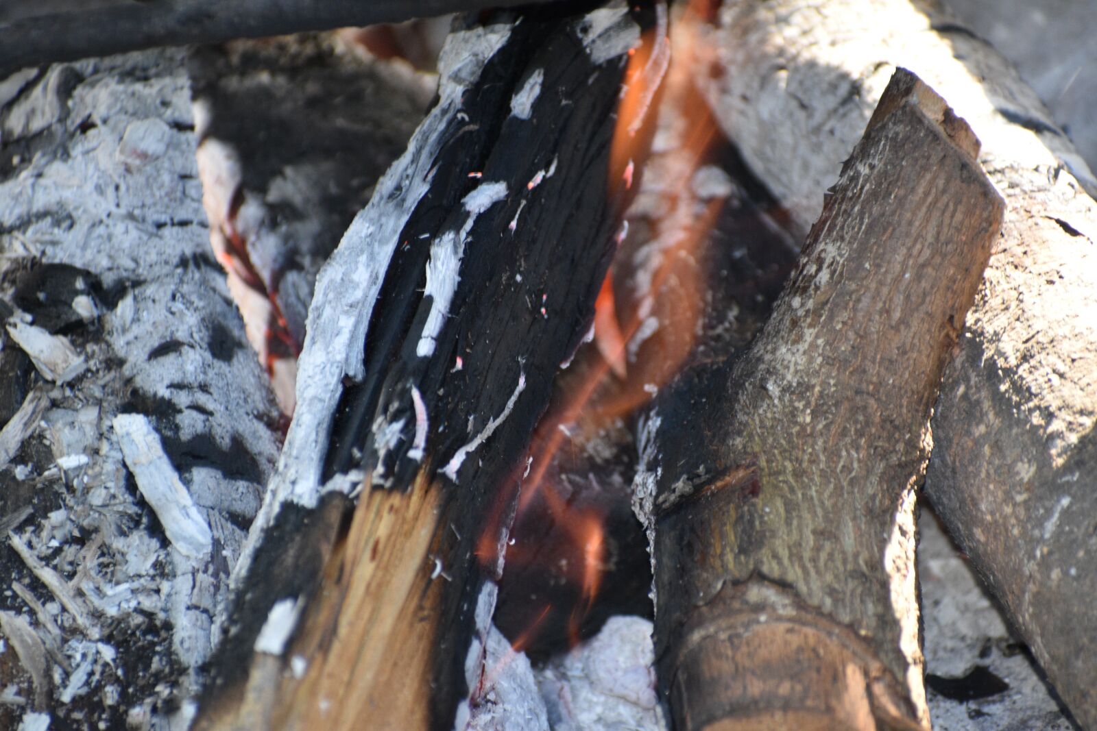 Nikon D3500 sample photo. Fire, wood, hot photography