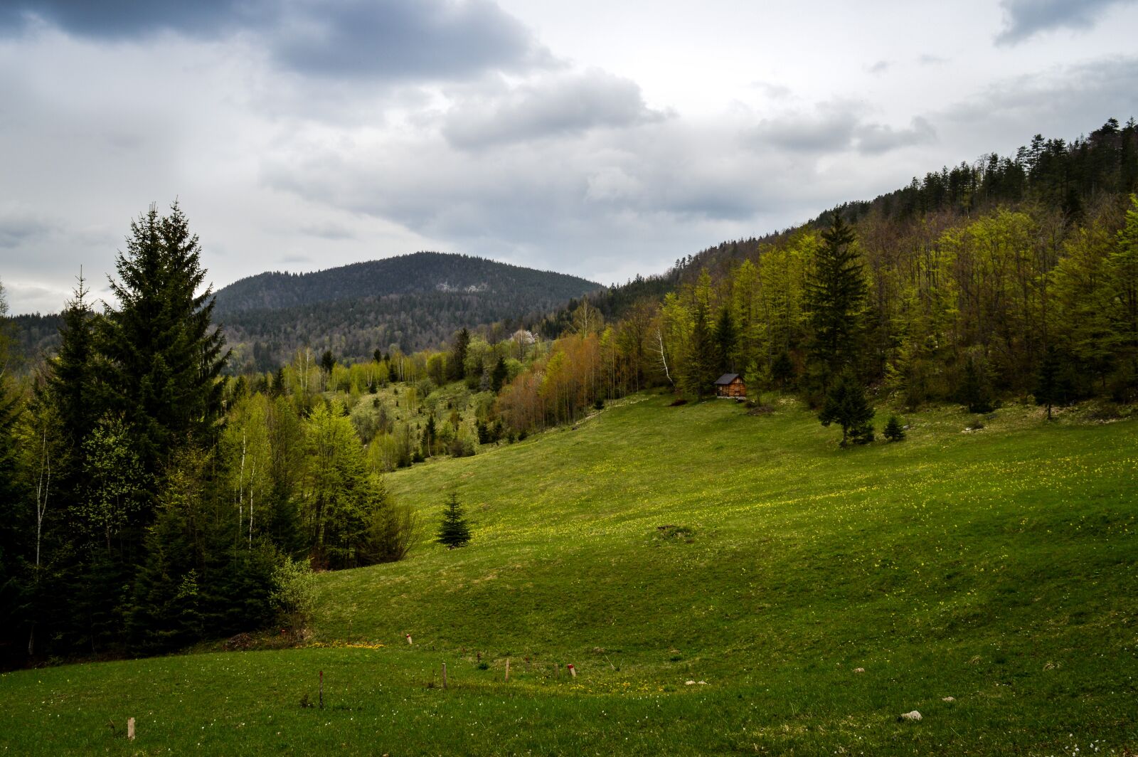 Nikon D3200 sample photo. Serbia, tara, mountain photography