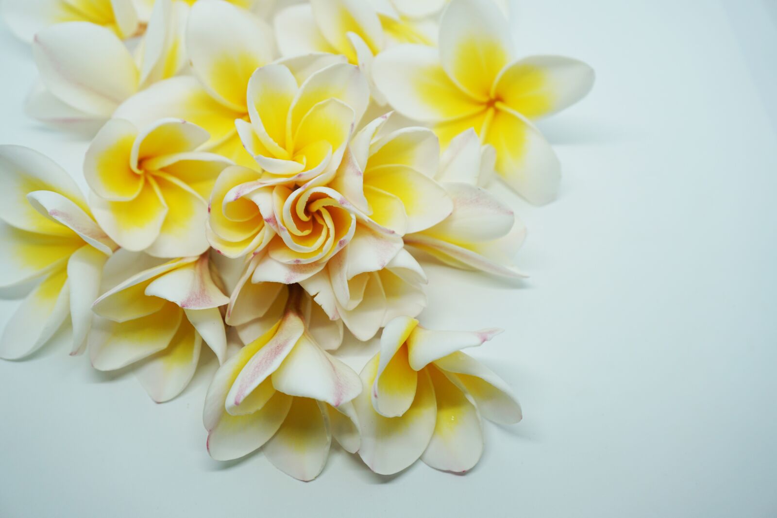 Sony a5100 sample photo. More information, dok champa photography