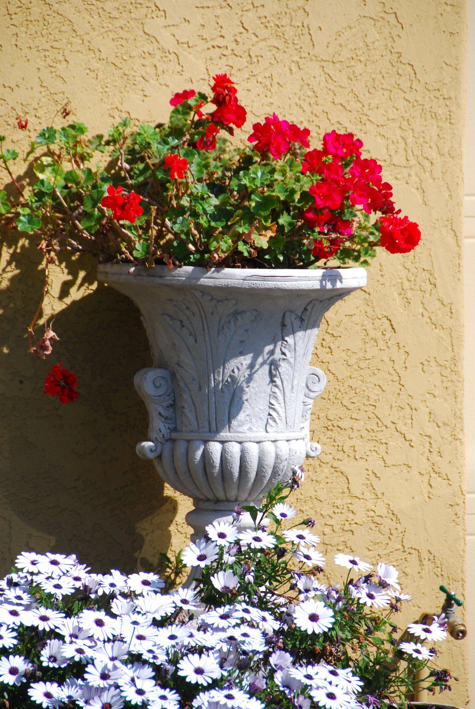 Nikon D60 sample photo. Flower pot, plant, flowers photography